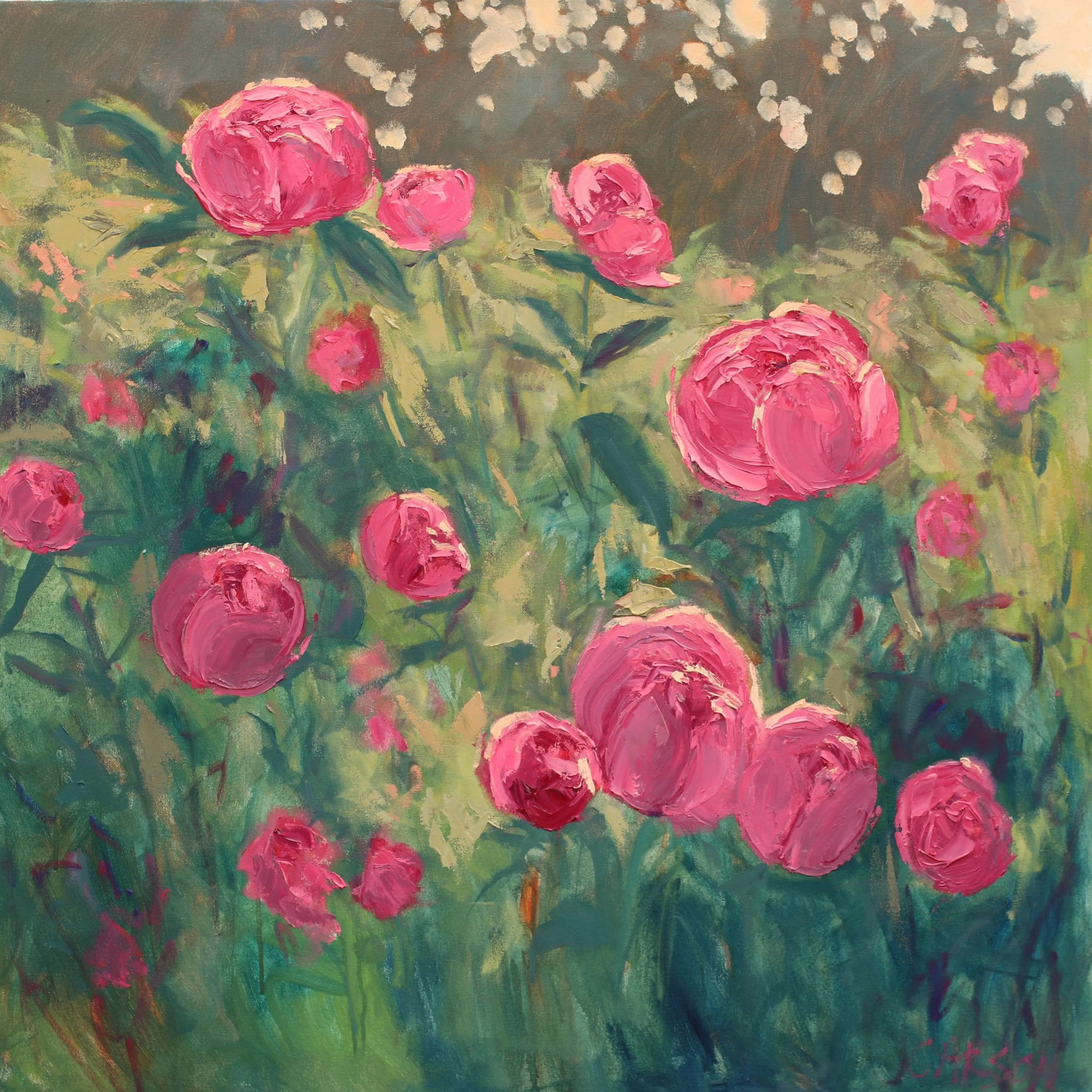 peonies 1.JPG