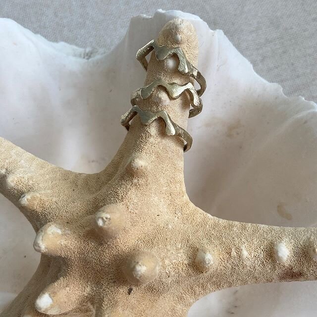 My little seagull rings are ready! 3 are brass and the rest are getting plated in gold right now. They are imperfect but just right little things!#lostwax #castings #seagulljewelry #seagulls #waxring
