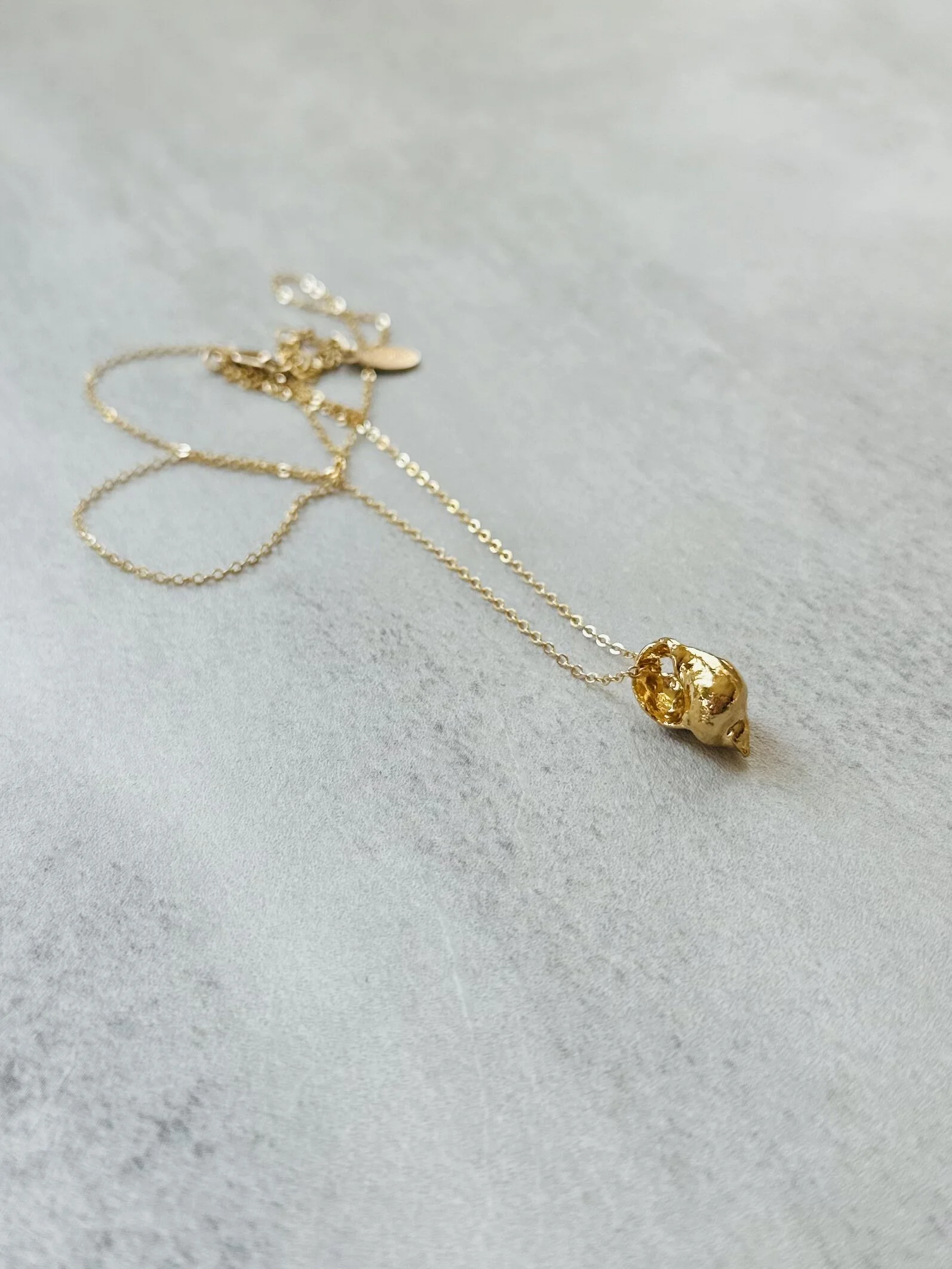 309AF5AD-496E-4218-8174-8D36ACAA67DA