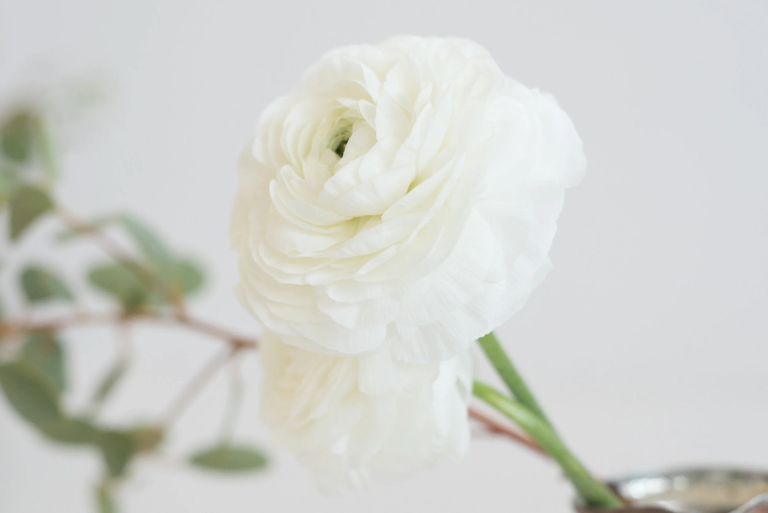 TwigyPosts Neutral Bundle-5717.jpg