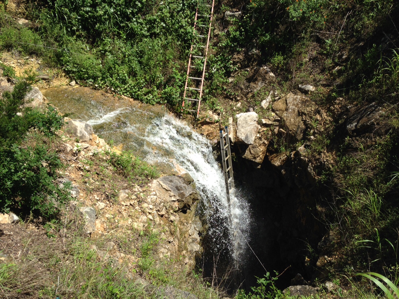 Kiwi Sinkhole