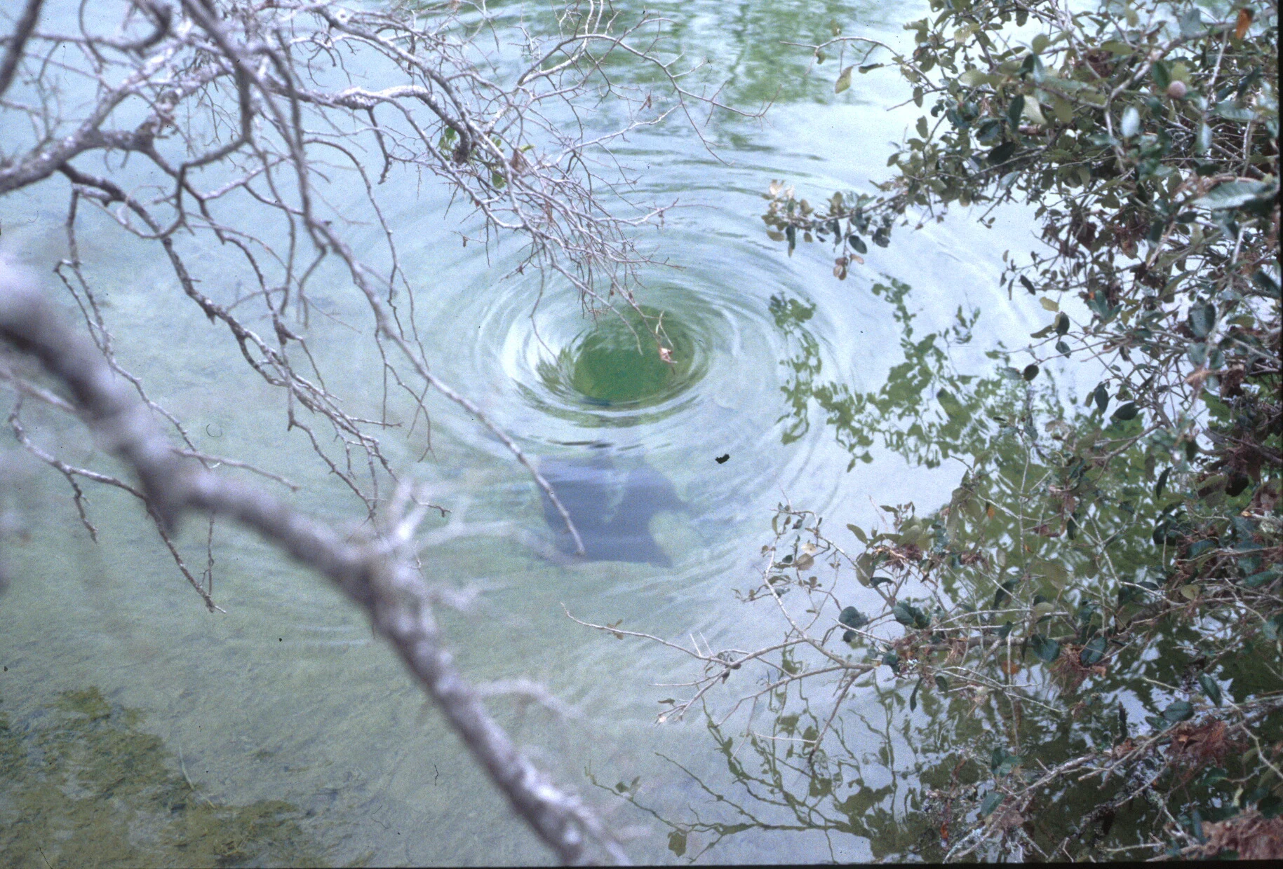 Whirlpool over Crippled Crawfish Cave