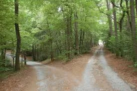 Decision pathways...
