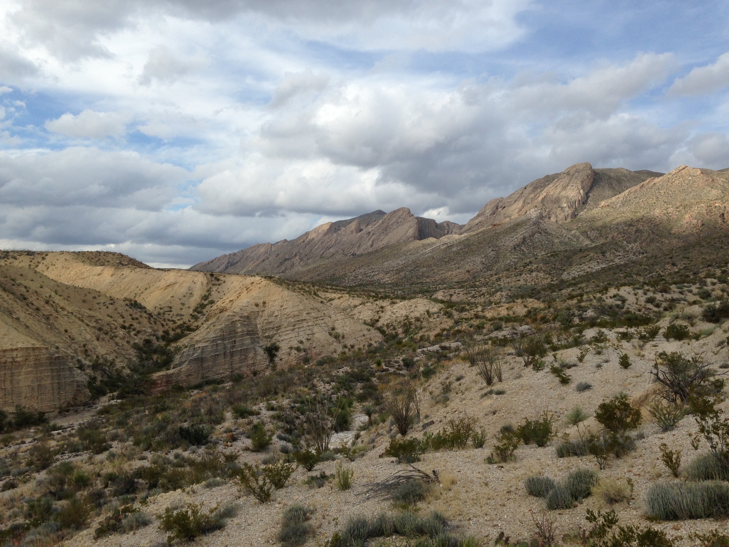 Flatirons and Bouquillas.JPG