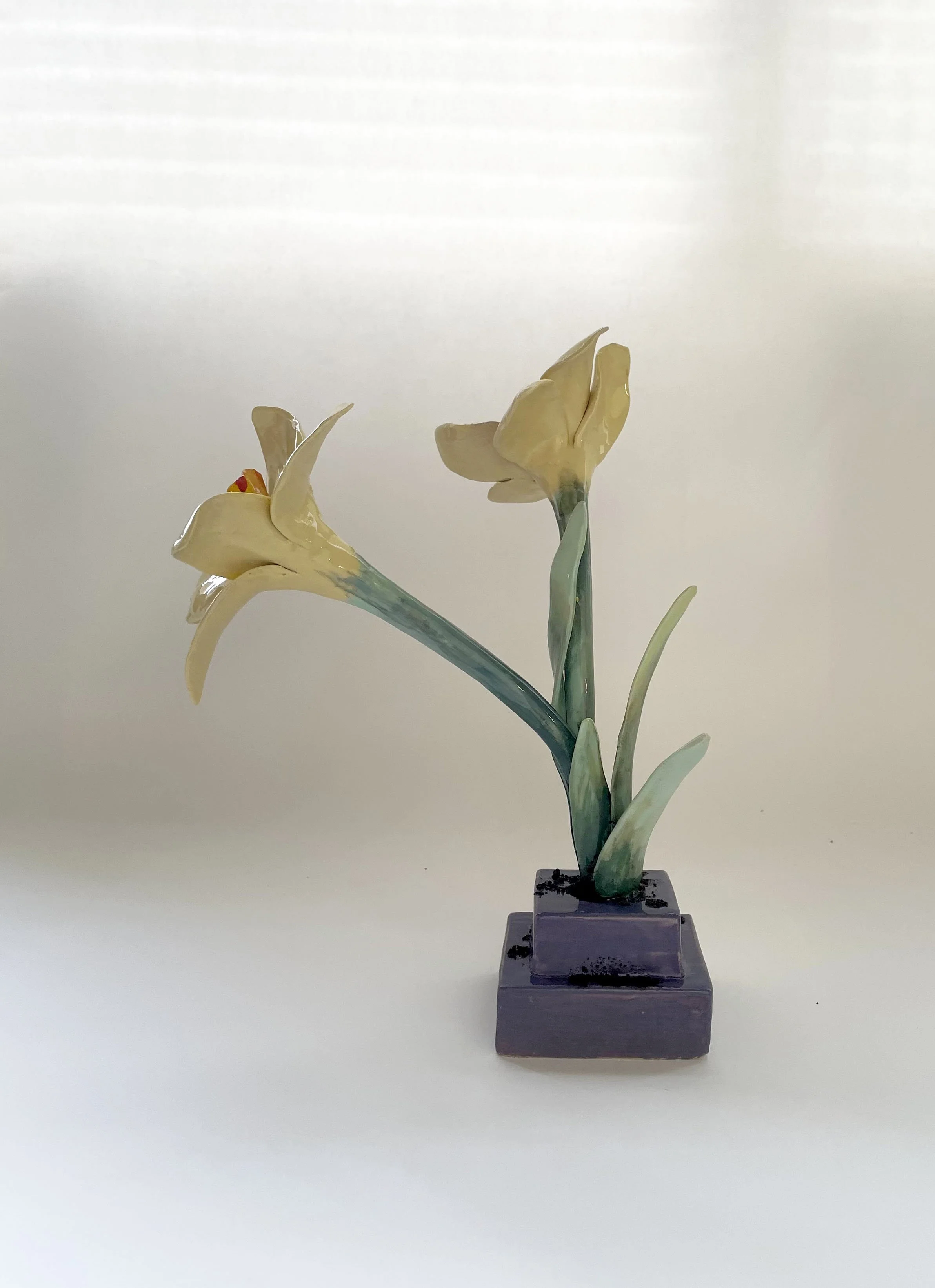Flor3back.jpg