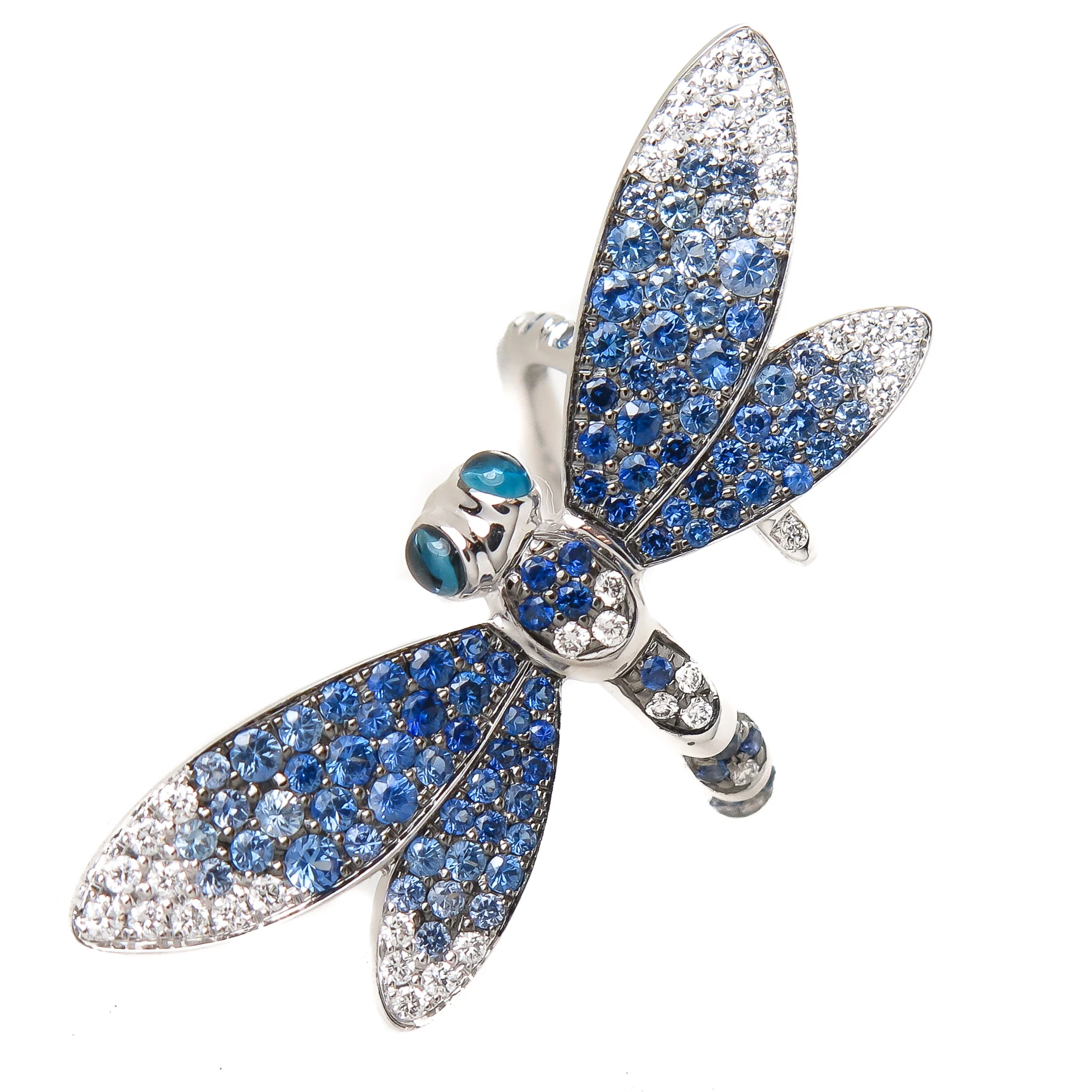 DH-ring-06272017-22.jpg