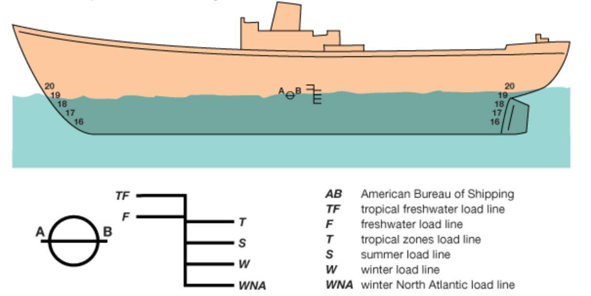 american plimsolls