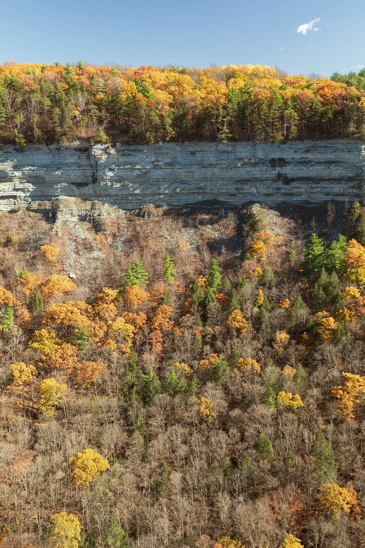 Letchworth Cliff.jpg
