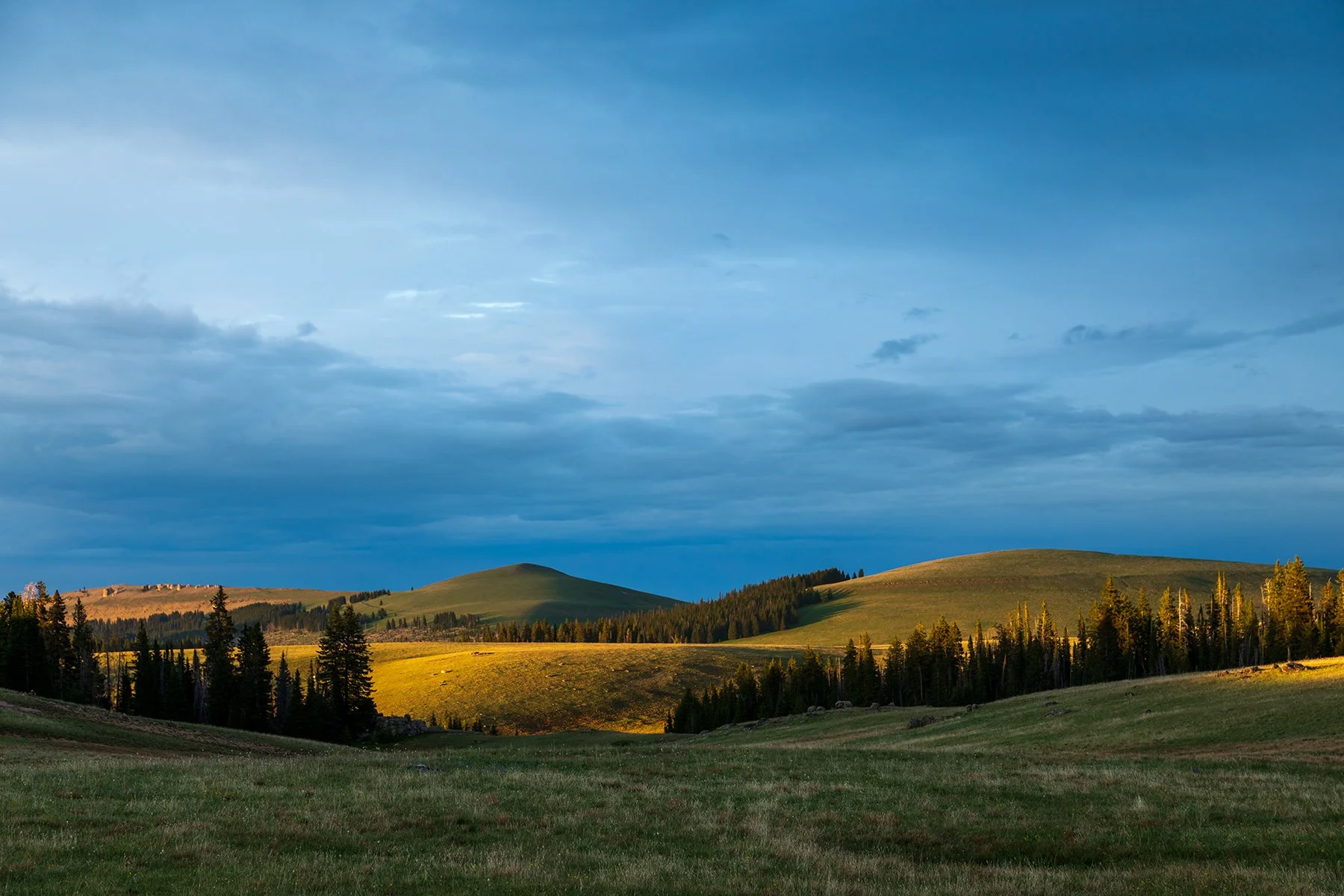 Evening Light in the Bighorns.jpg