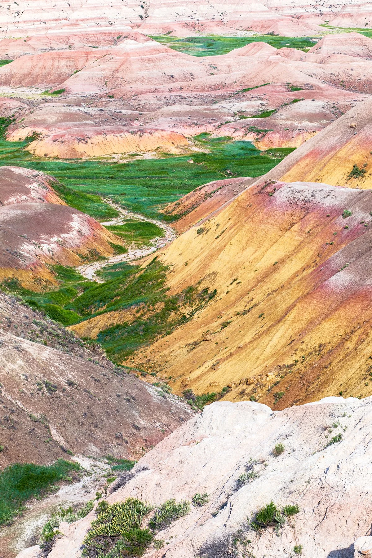 Badlands grassy valley.jpg