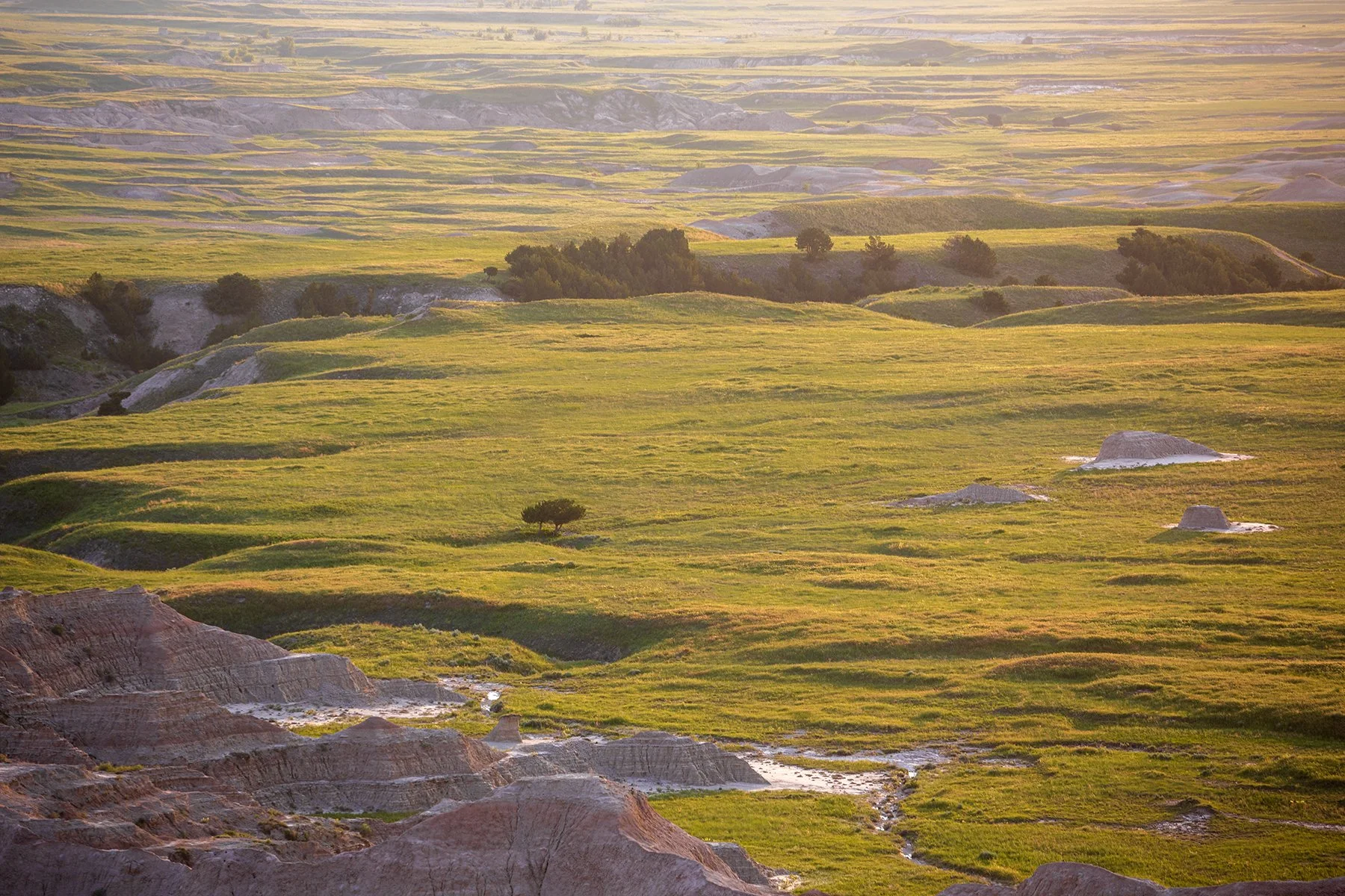 Badlands grass view.jpg