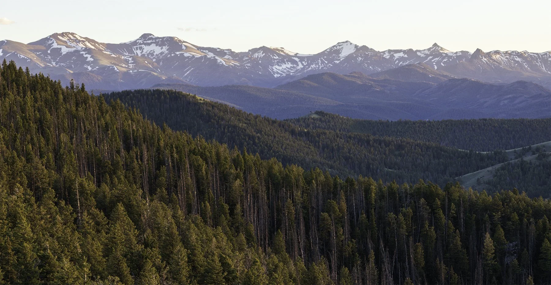 Beartooths from Chief Joseph.jpg