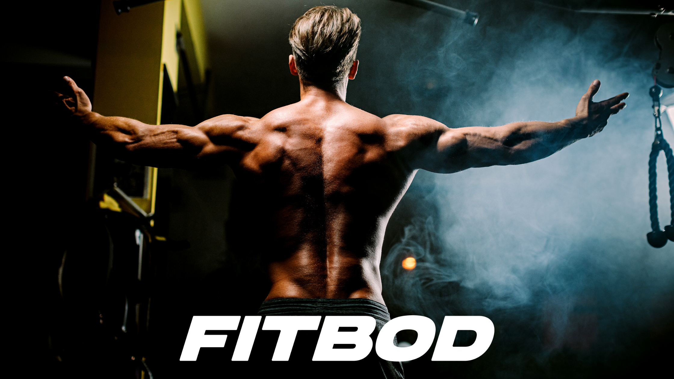 Why the Fitbod App is Worth It [Reddit Edition]