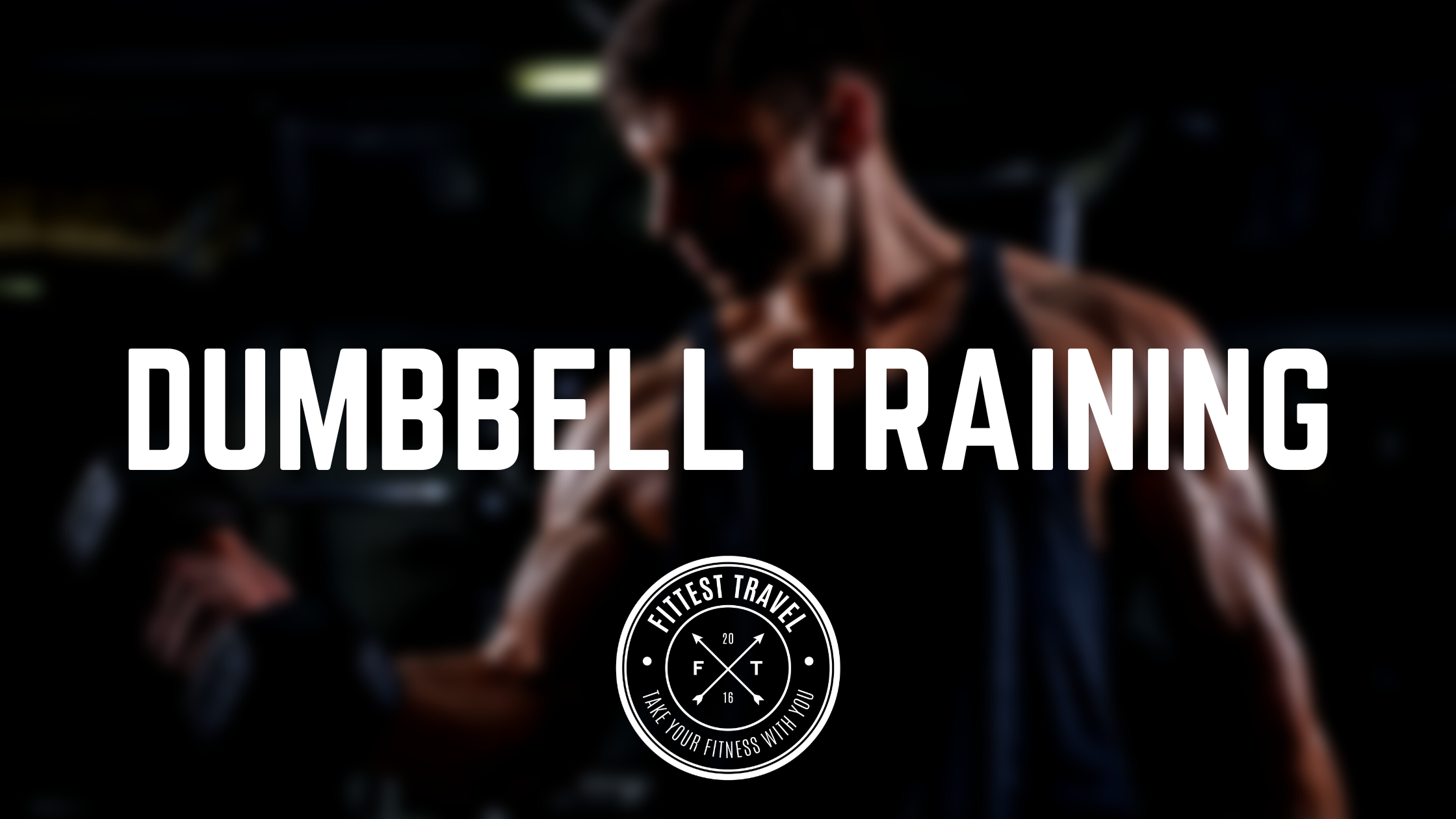 The Dumbbell Only Workout Plan (PDF Program) Fittest Travel