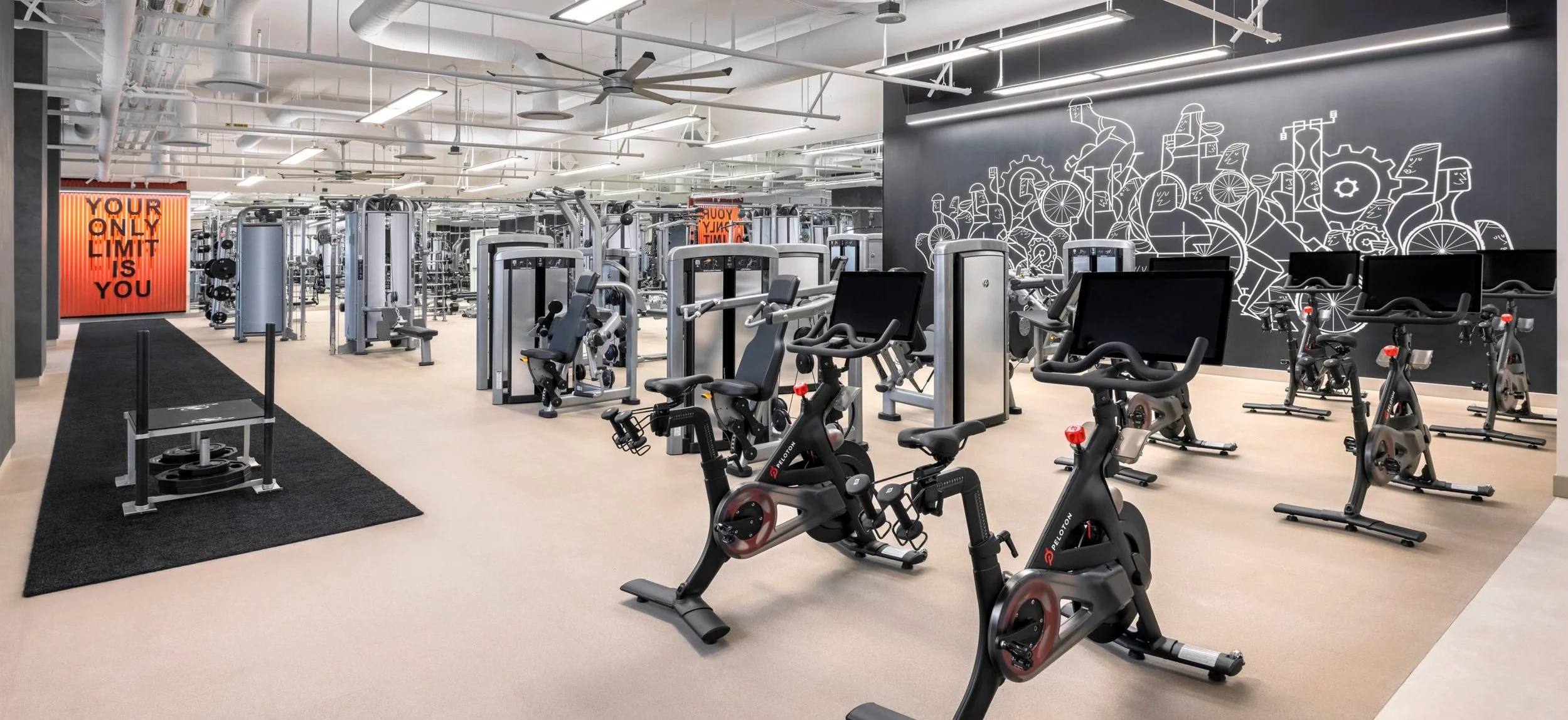 The 15 Best Hotel Gyms in Las Vegas Fittest Travel