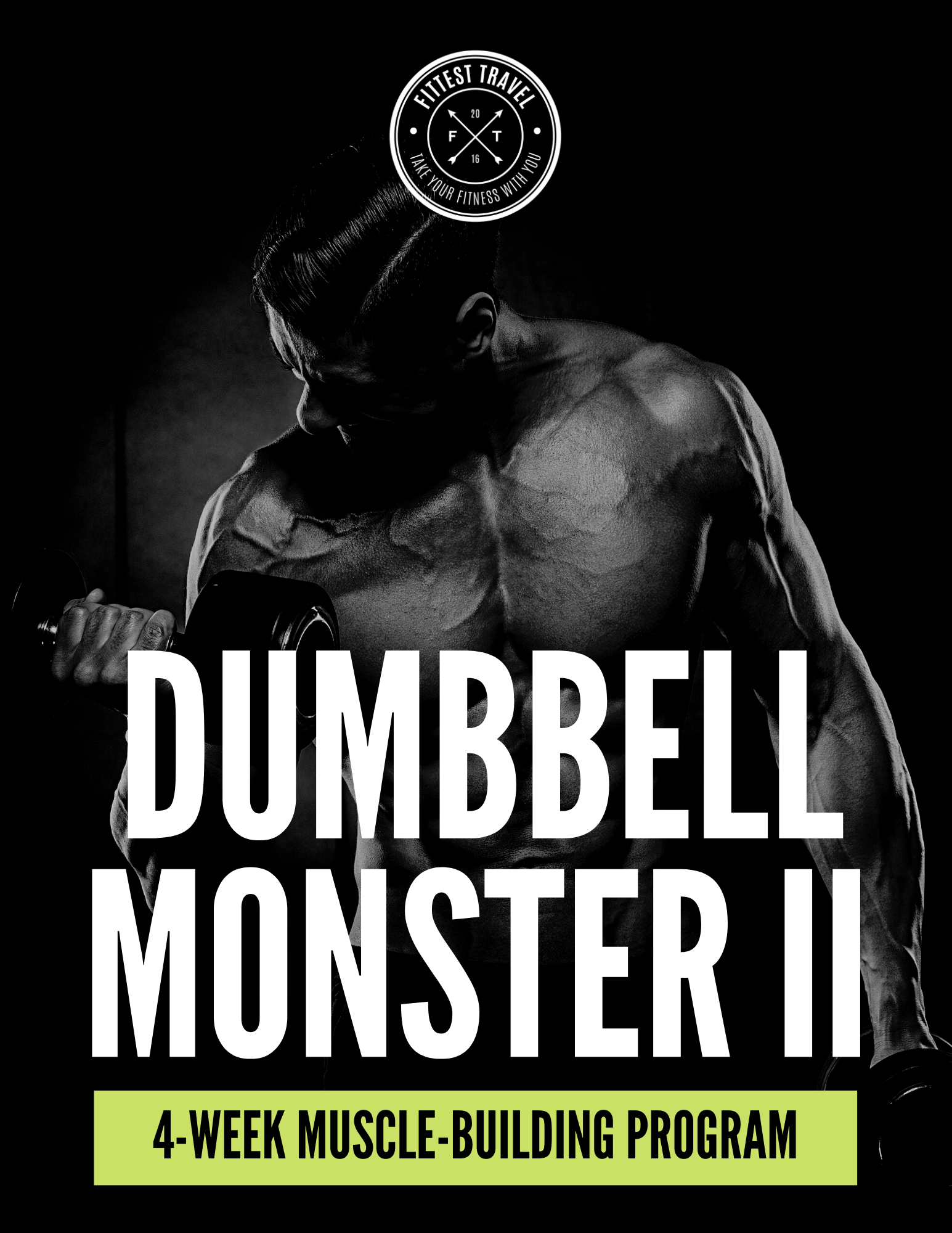 The Dumbbell Only Workout Plan Pdf