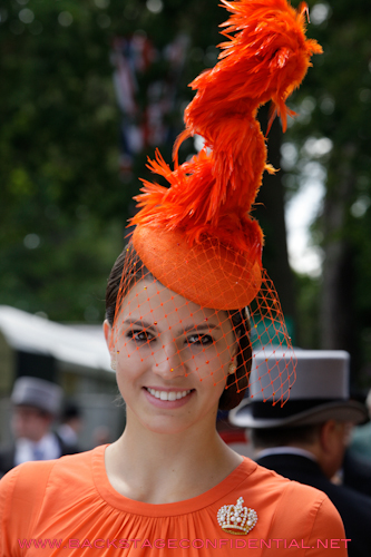 Ascot_Beauty_3_SW011.jpg