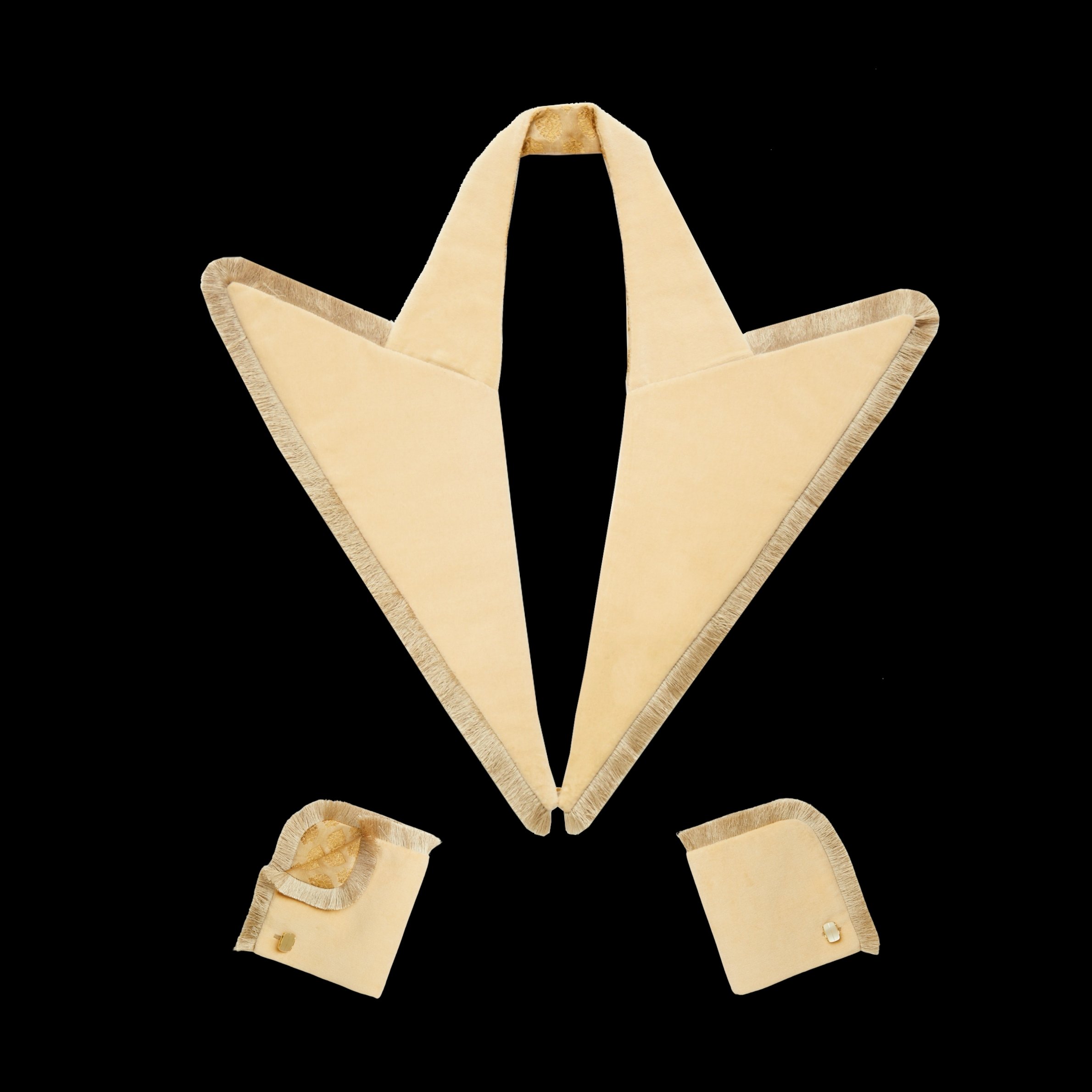 CCCwings6back.jpg (Copy)