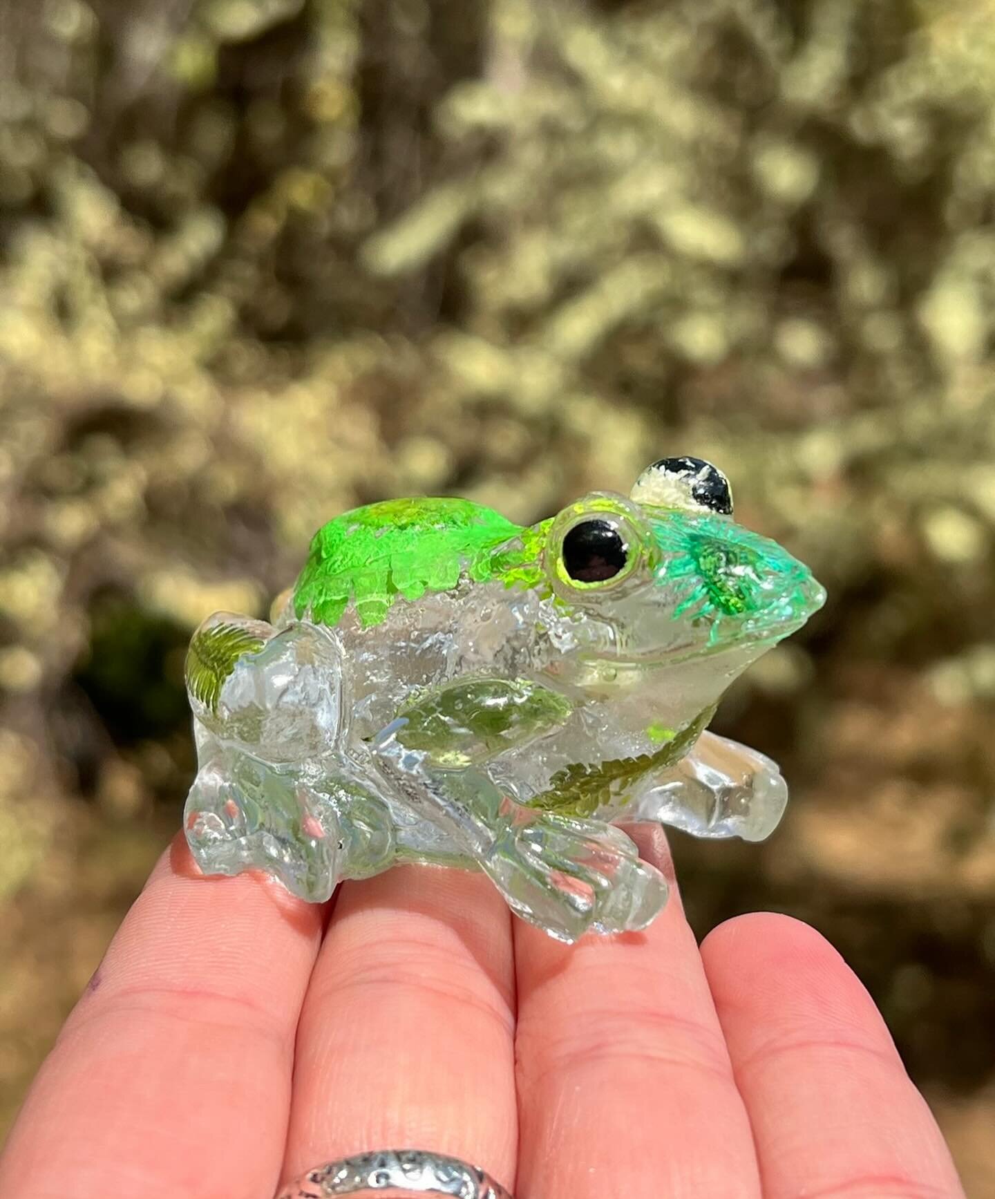 *Ribbit Ribbit* 🐸 It&rsquo;s World Frog Day!  Frog Day is an annual celebration dedicated to raising awareness about the significance of frogs and their vital role in the ecosystem. 💚🌎 

#frogs #frogcore #frogart #ribbitribbit #froggie #frogsofins