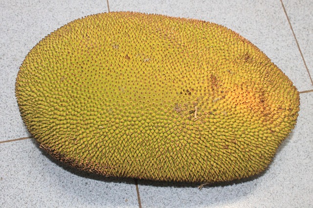 Whole Jackfruit