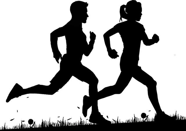race-2090184_640.png