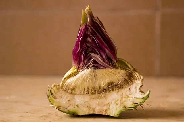 Fresh Artichoke Heart before being trimmed