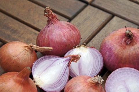 onions-2158650_640.jpg