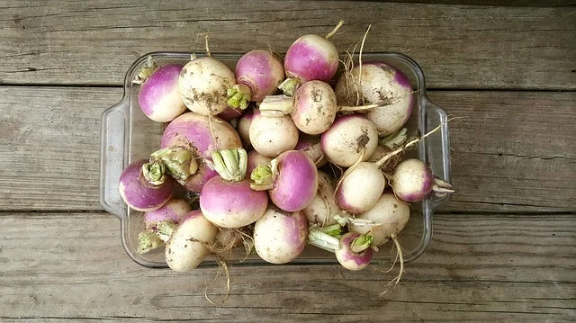 Functional Foods at Farmers Markets - Week Twenty