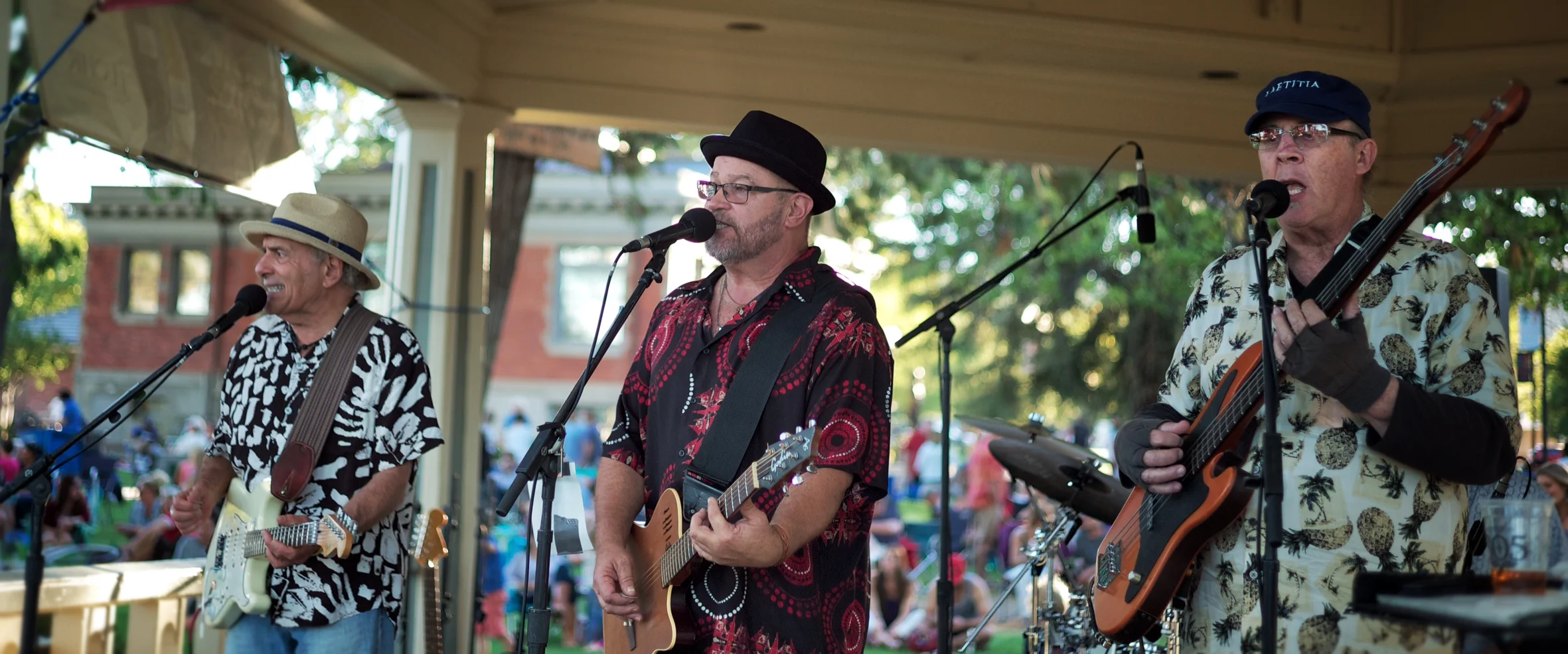 Chet and Bruce at Paso Robles Concerts in the Park - 2014