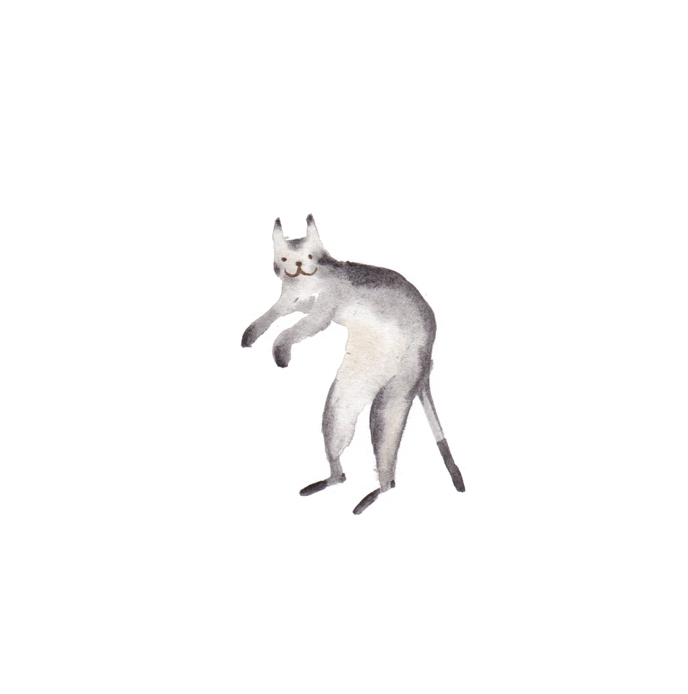 lijincat.jpg
