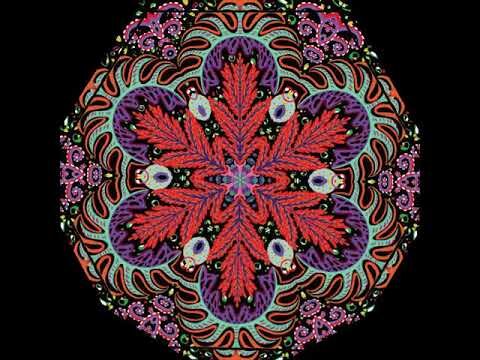Fern flow with the black grown - silk scarf promotion video