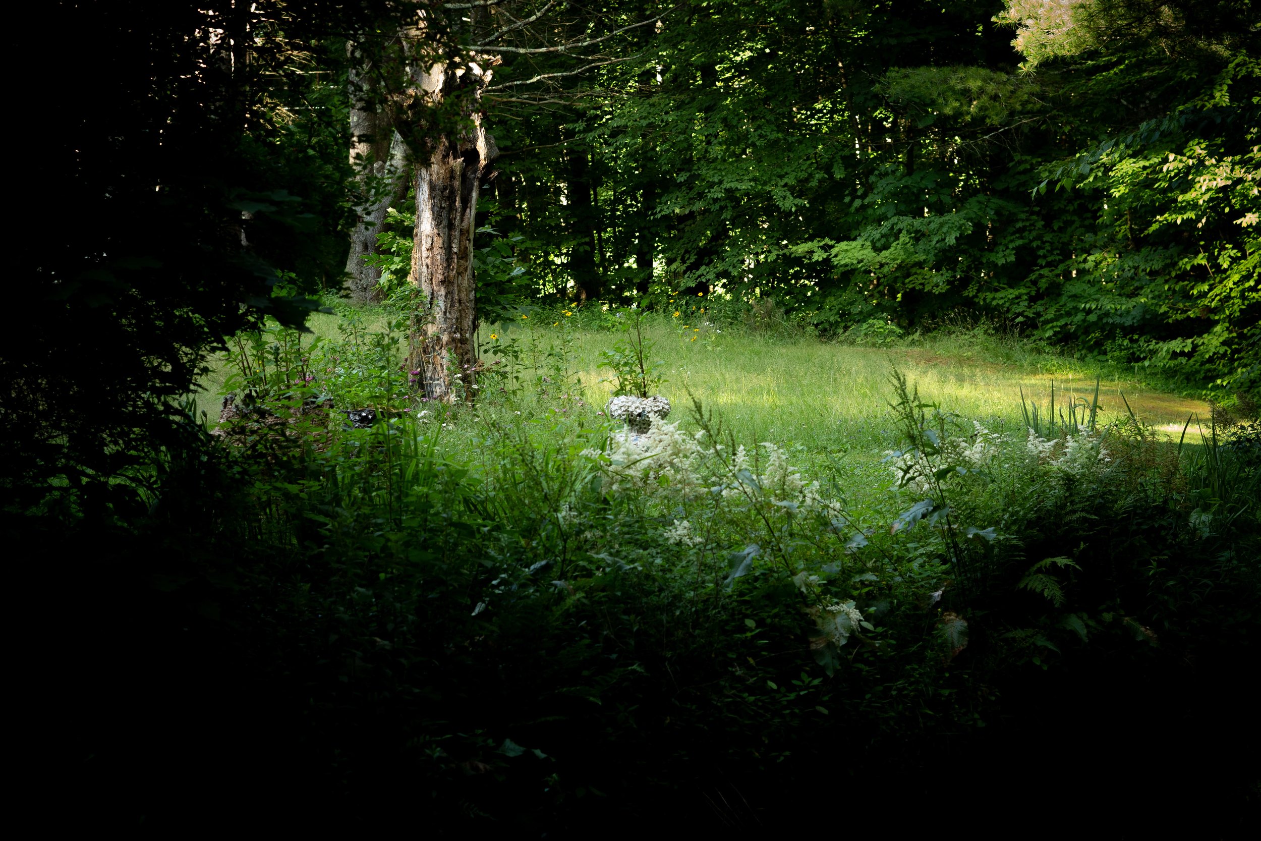 Singer. View from pond.jpg
