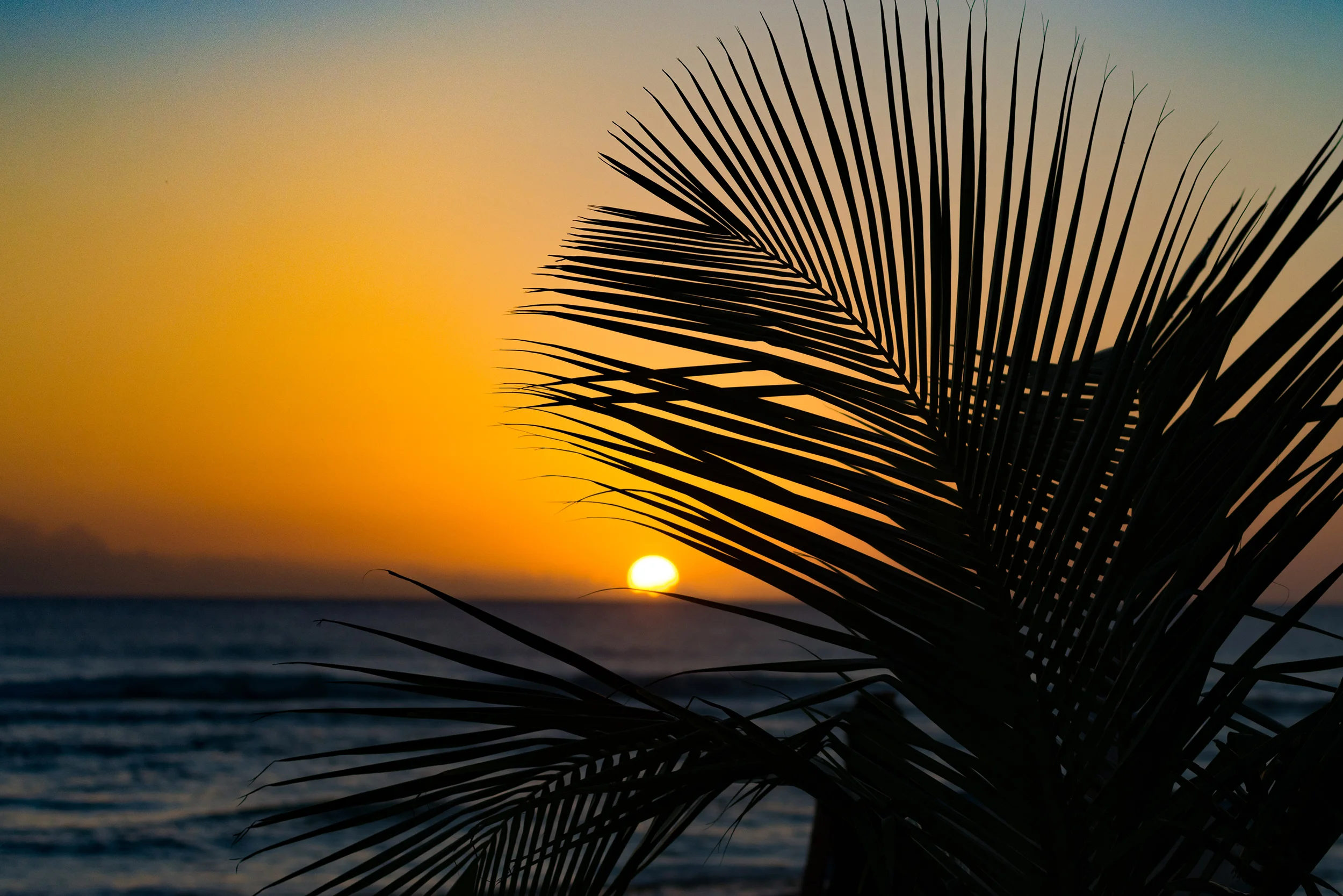 Sunset surfing in Cayman Islands 11