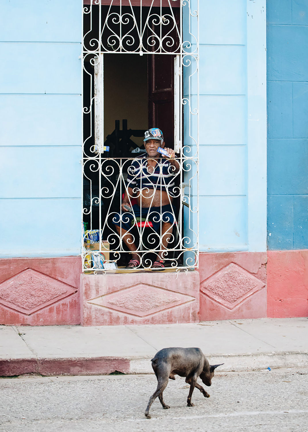 Dog sniffing for food on street in Cuba