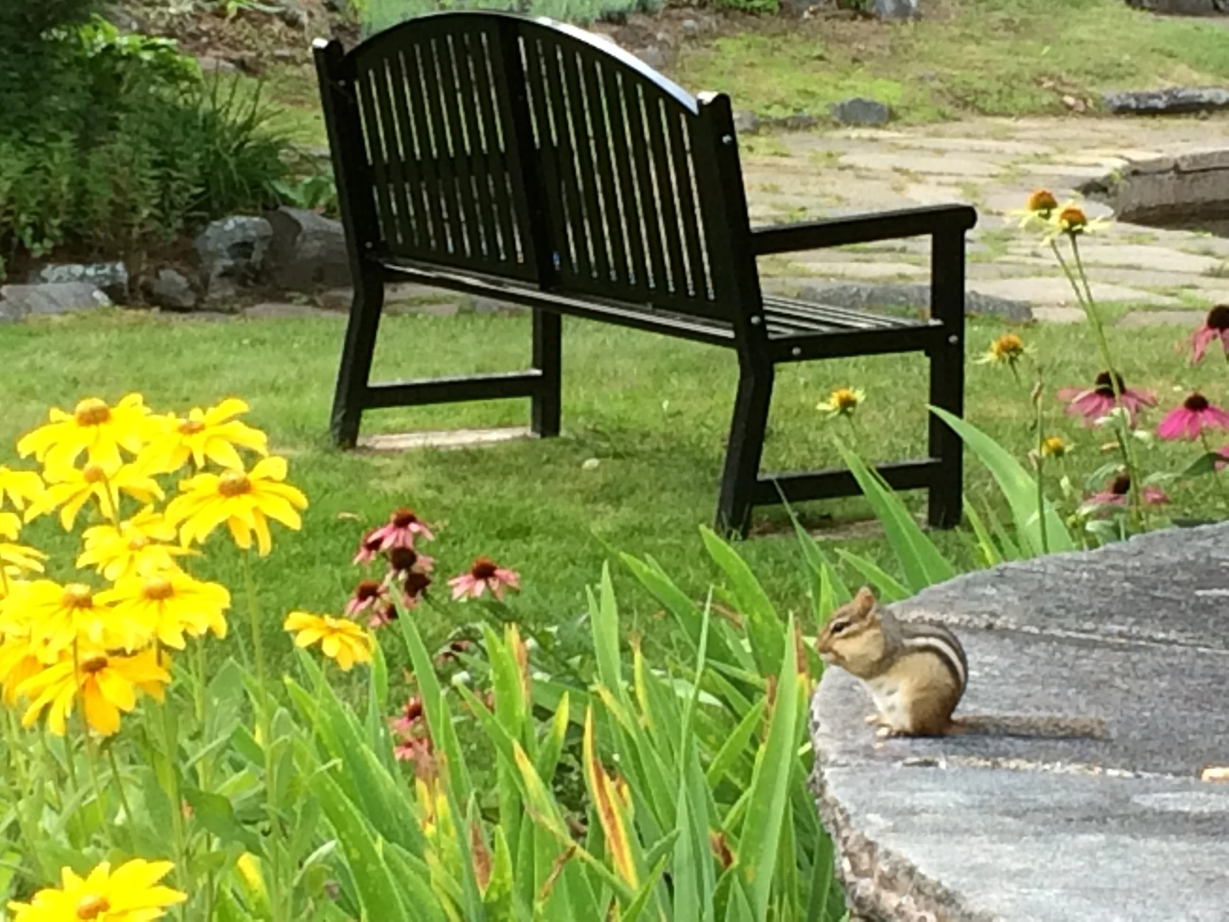 Sit and Stay Awhile ...