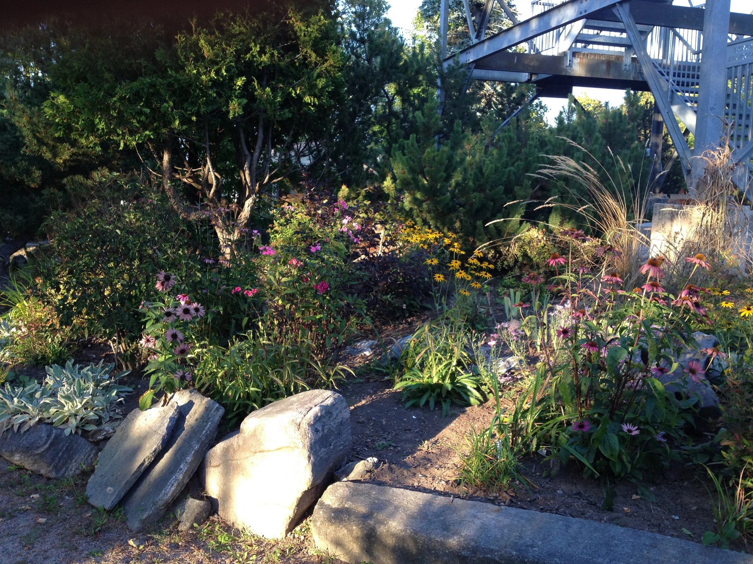 2015-09-17 18.34.24.jpg