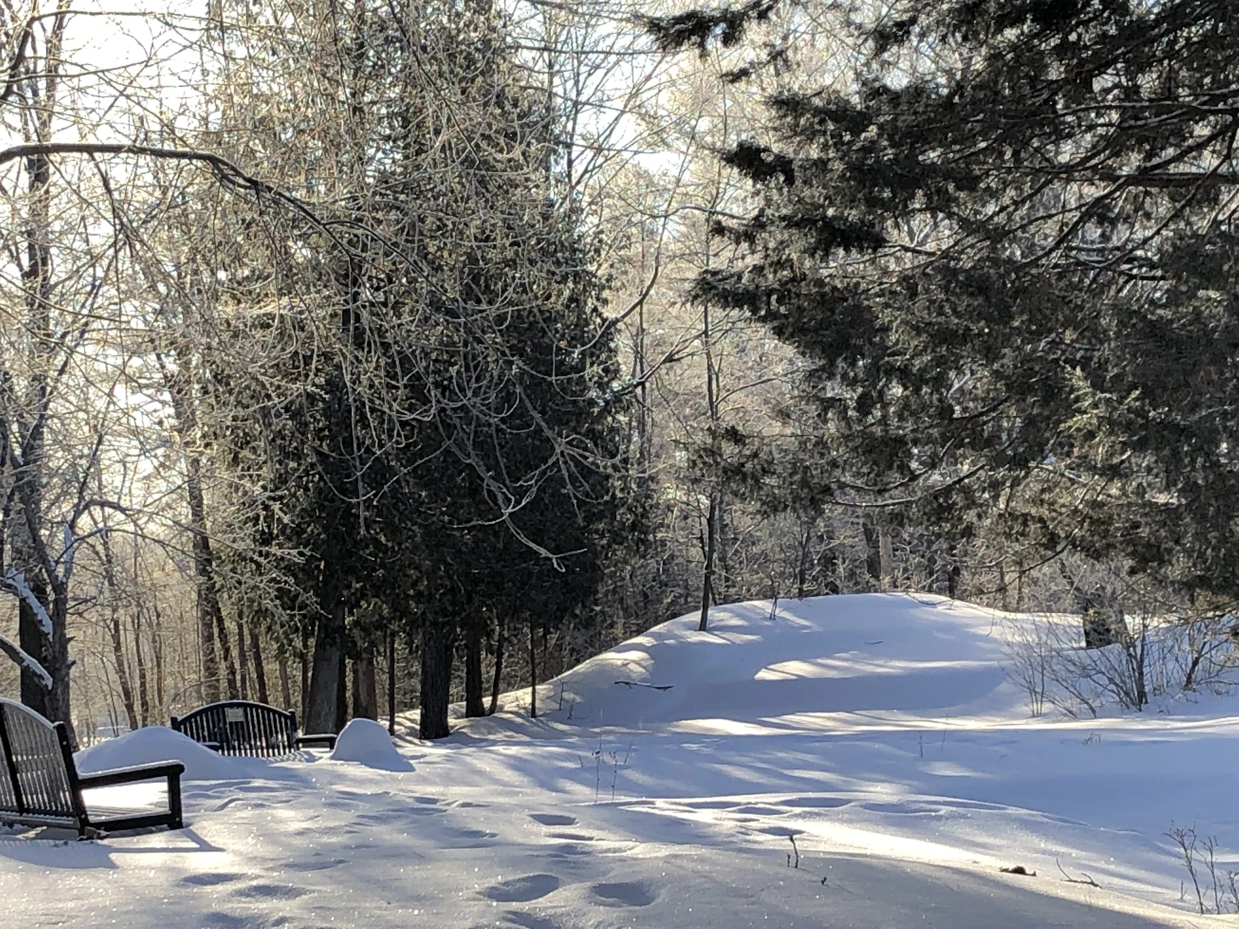 "You Had to be There"