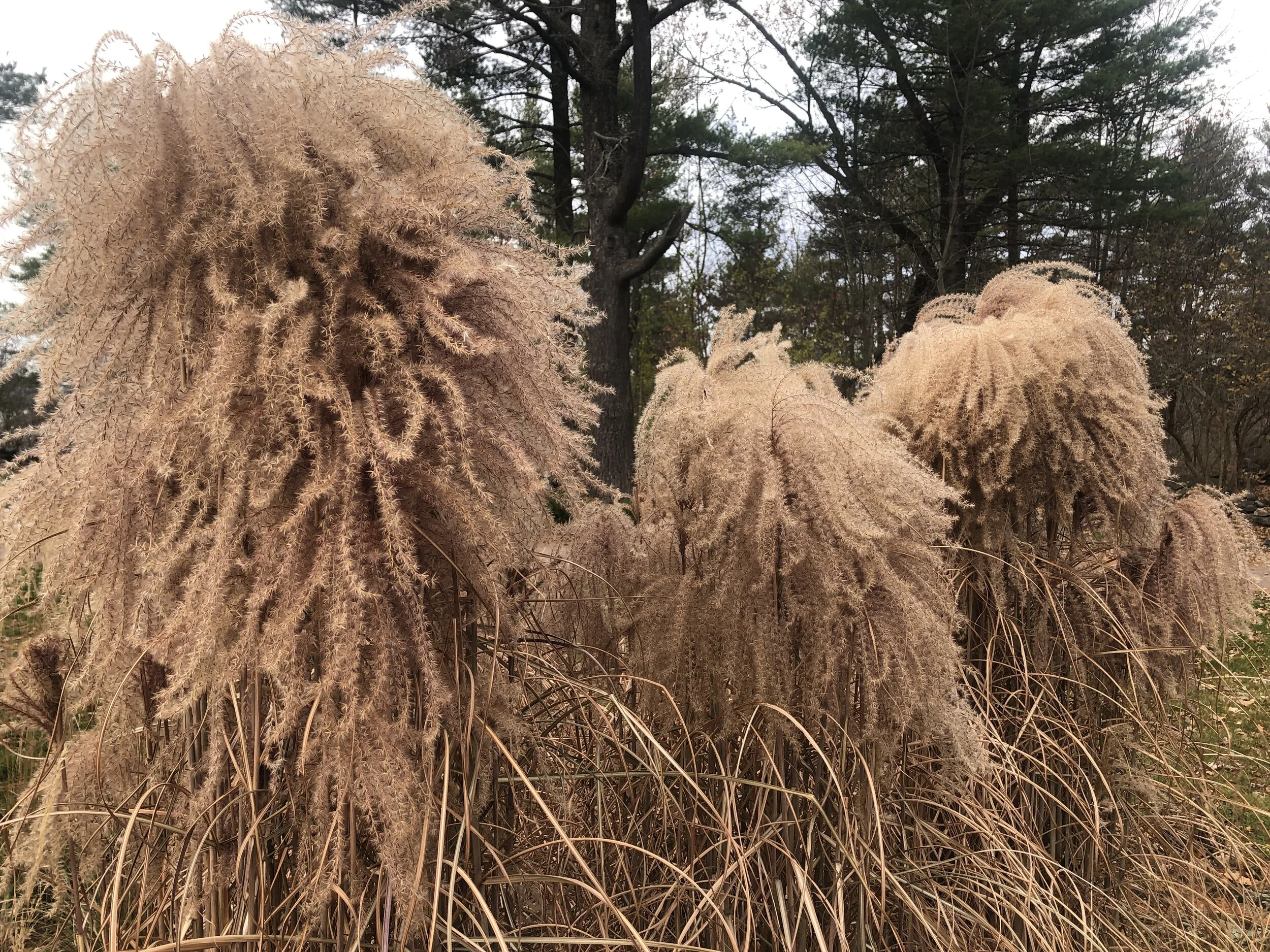 Strange Times Indeed - Looking back at 2020