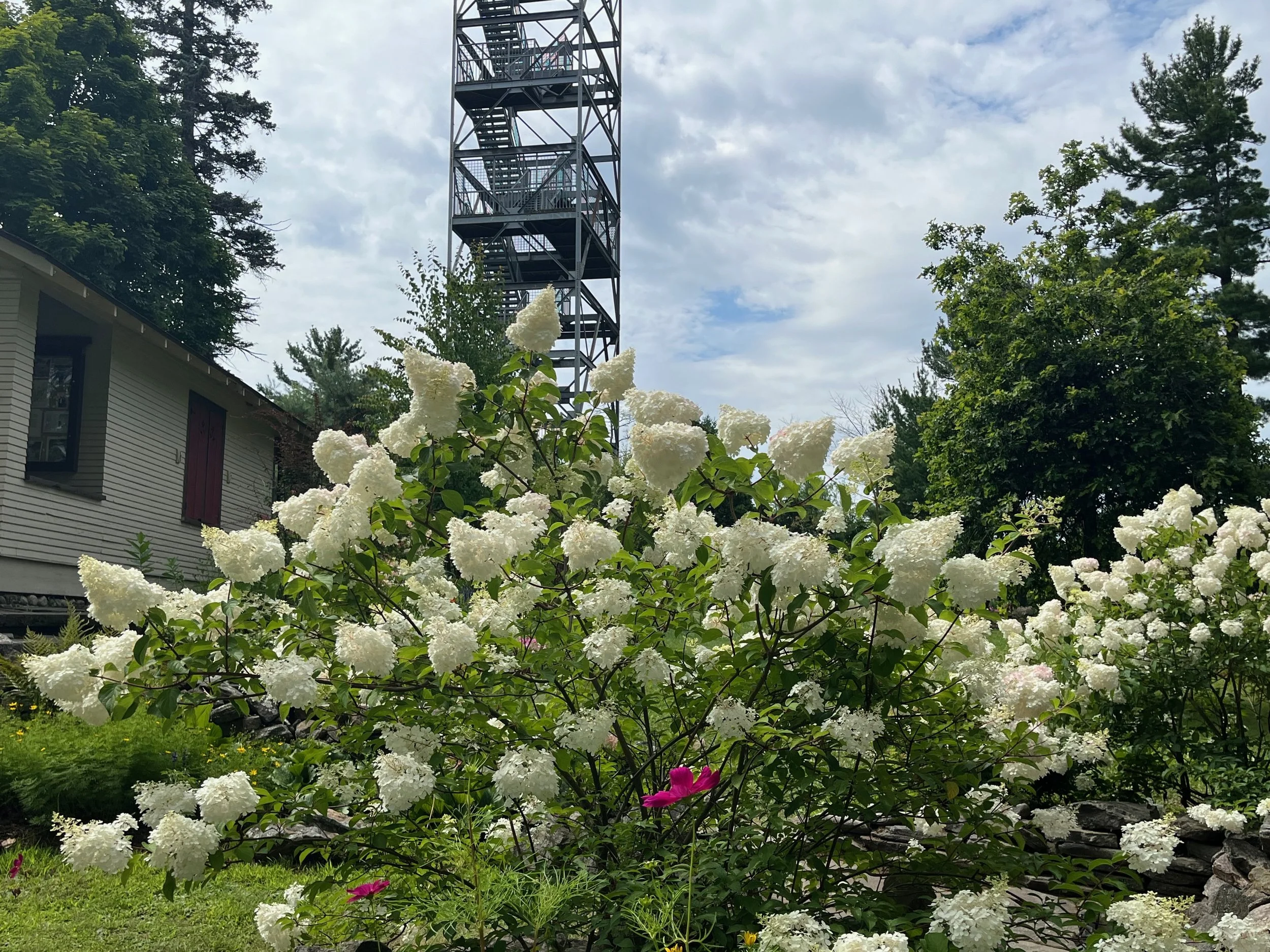 2024 - Another "Best Year Yet"