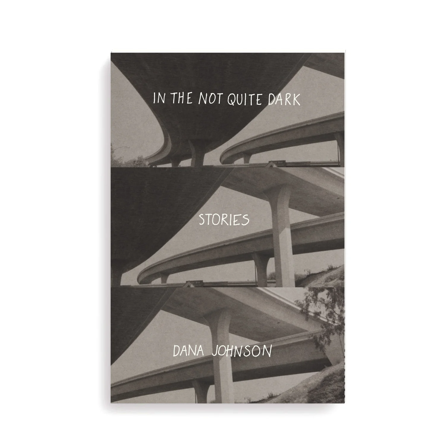 in the not quite dark.jpg