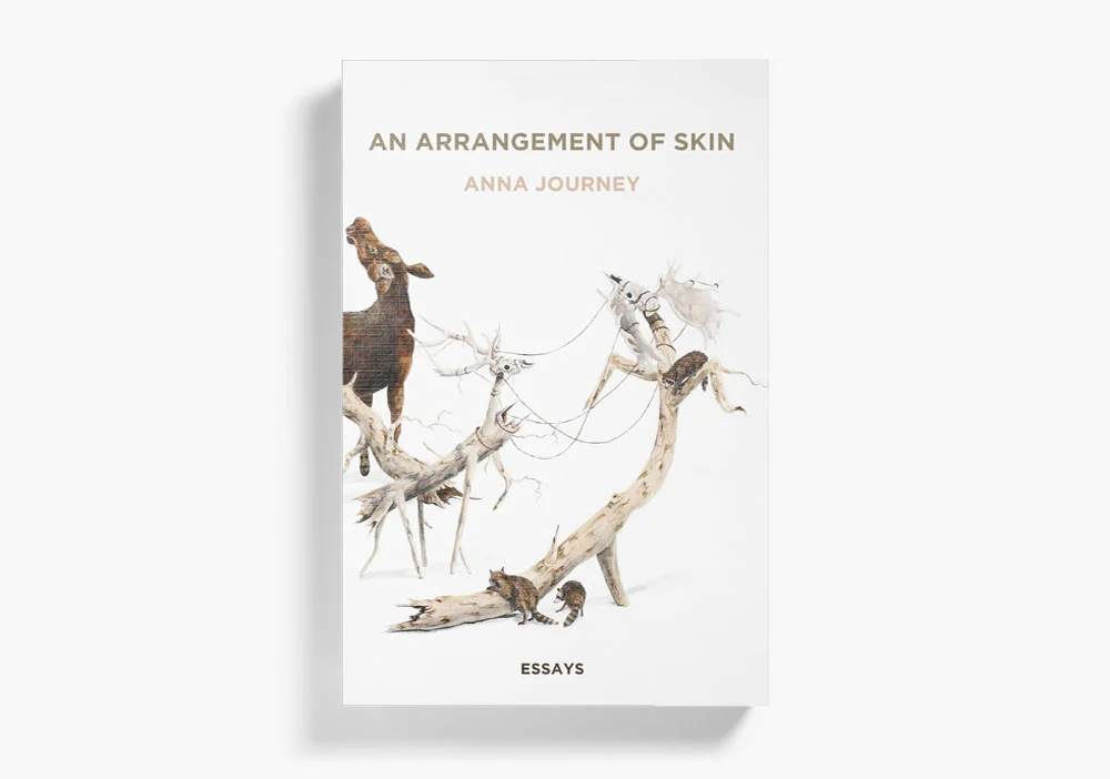 Arrangement of Skin
