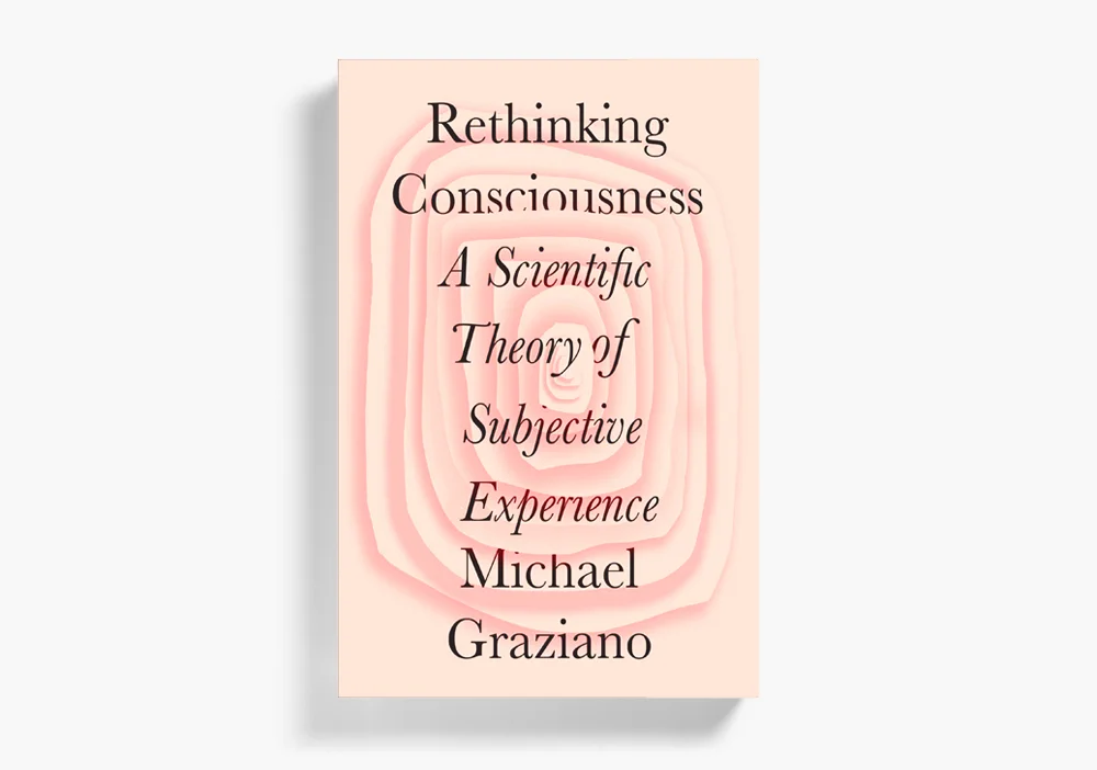 Rethinking Consciousness (KILLED