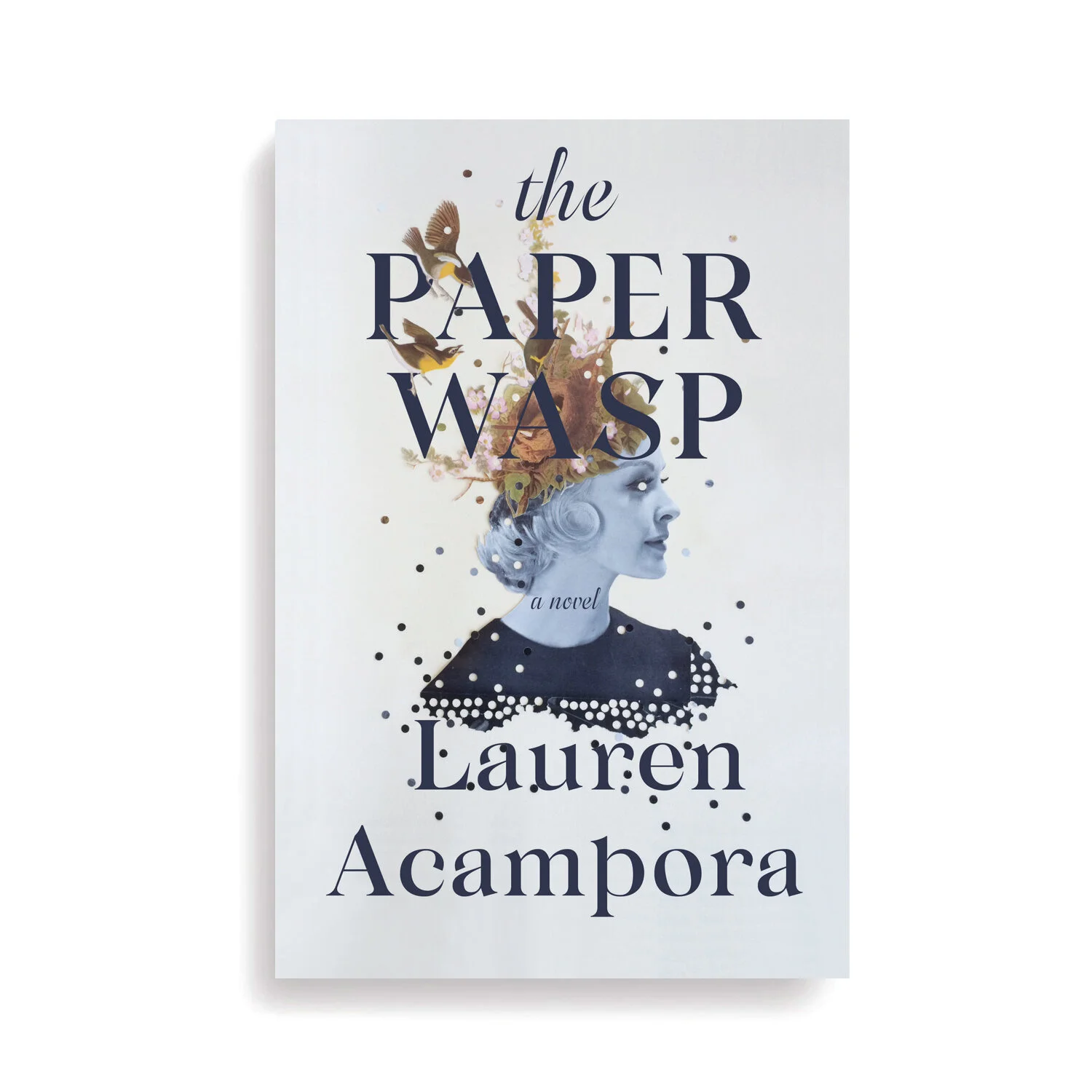 Paper+Wasp web.jpg