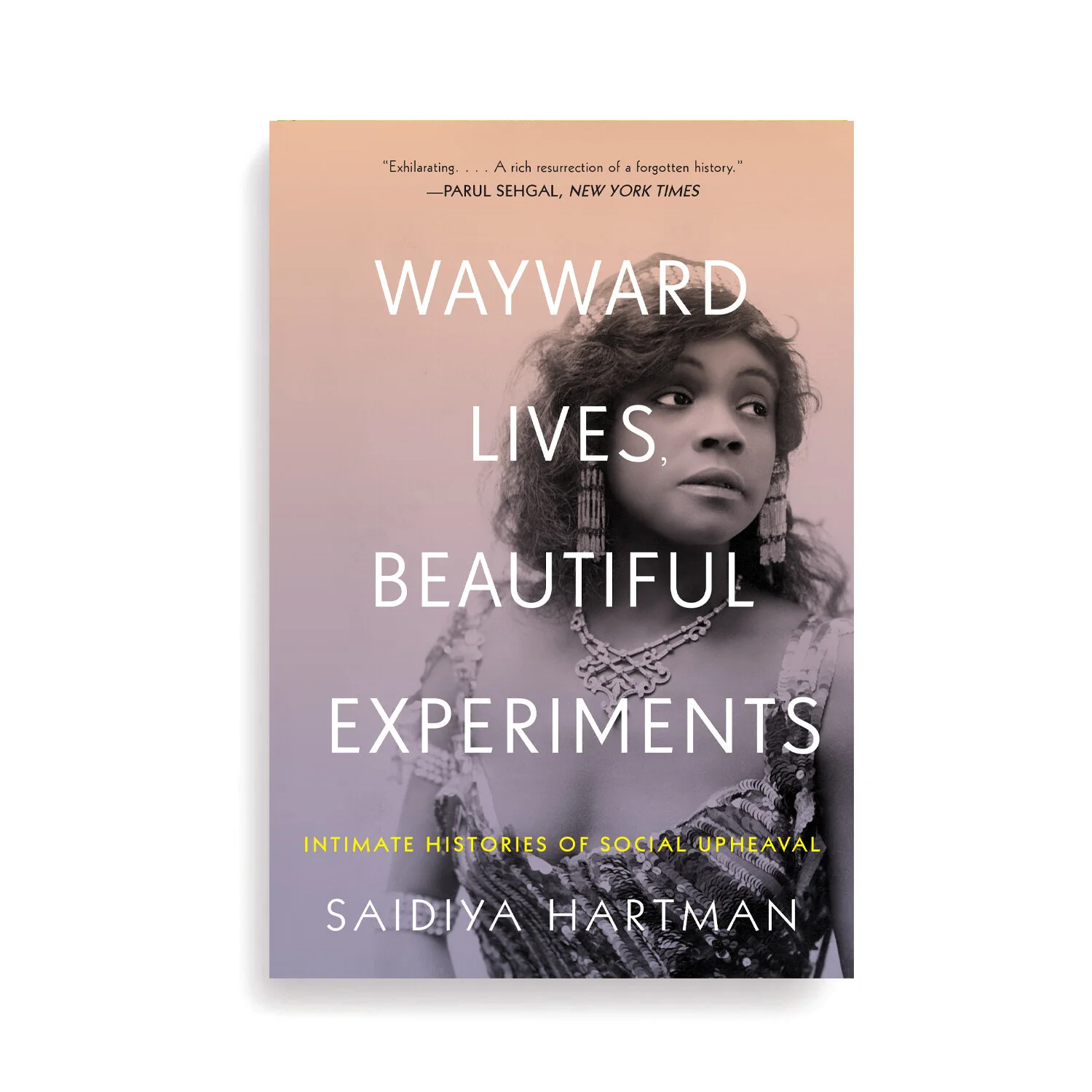 wayward lives web.jpg