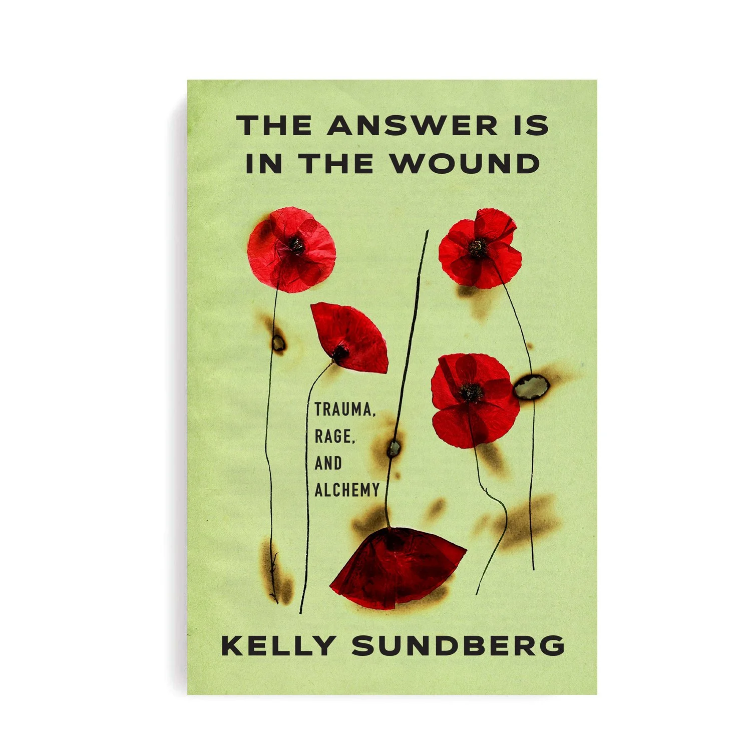 Answer in the Wound.jpg