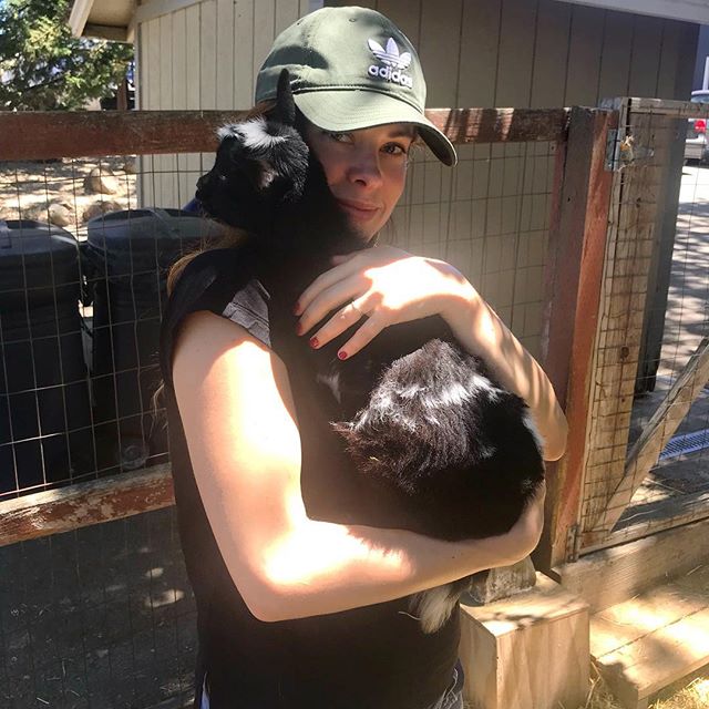 I made a new friend this weekend at @goatlandia_sanctuary in Santa Rosa - this 3 legged dwarf goat was so sweet, and I had a ball playing with her and her friends, including about 20 goats and a handful of gorgeous piggies. Highly recommend this if y