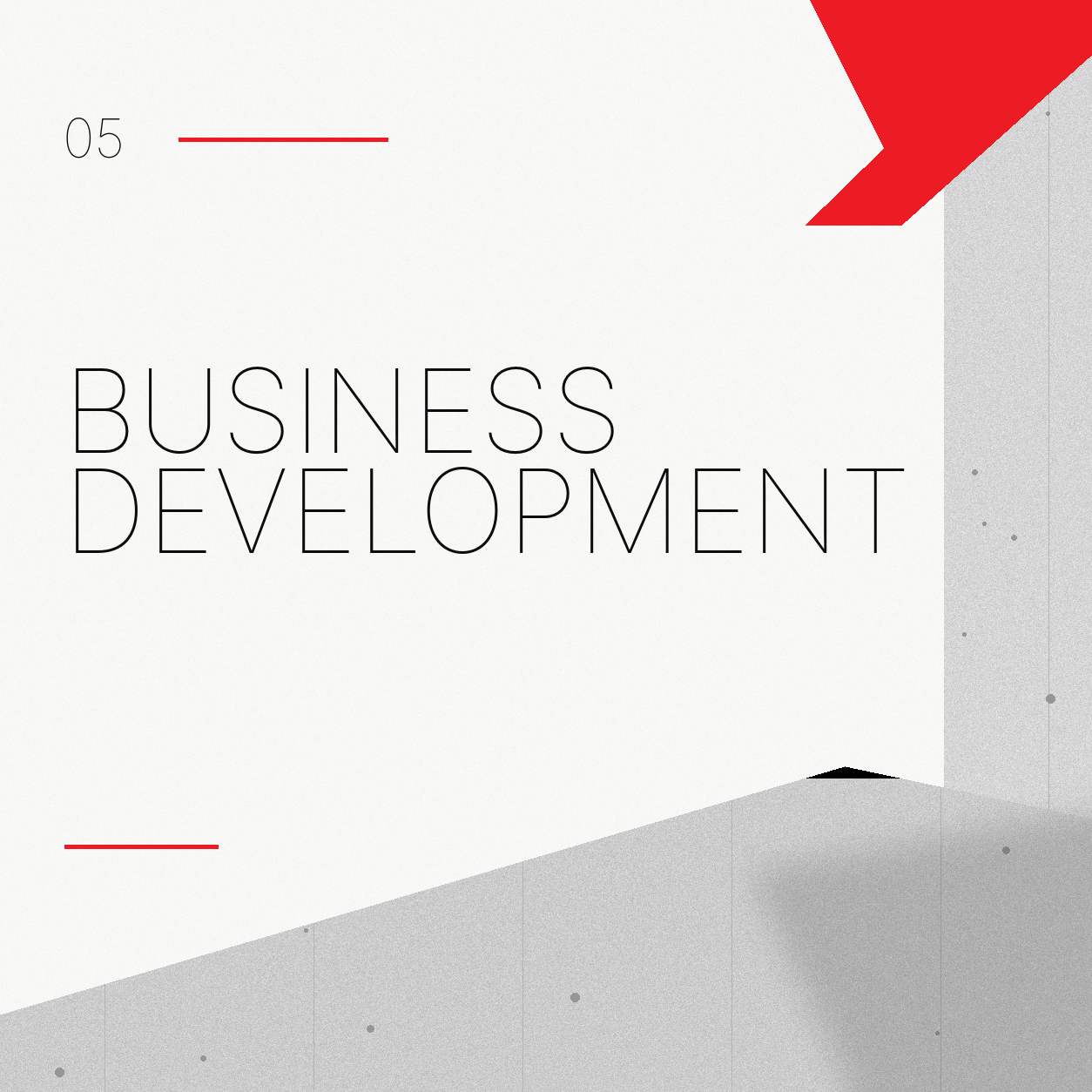 BUSINESS DEVELOPMENT