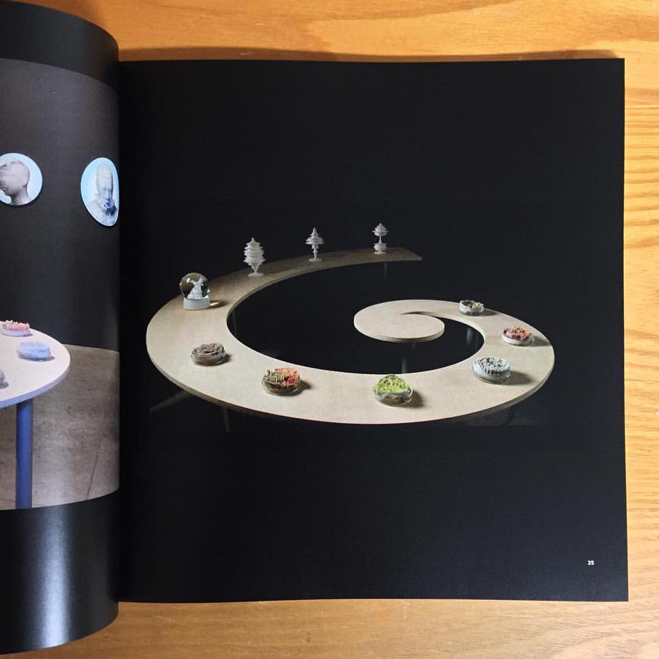 Objects of Wonder Catalog and Schwartzman's table design