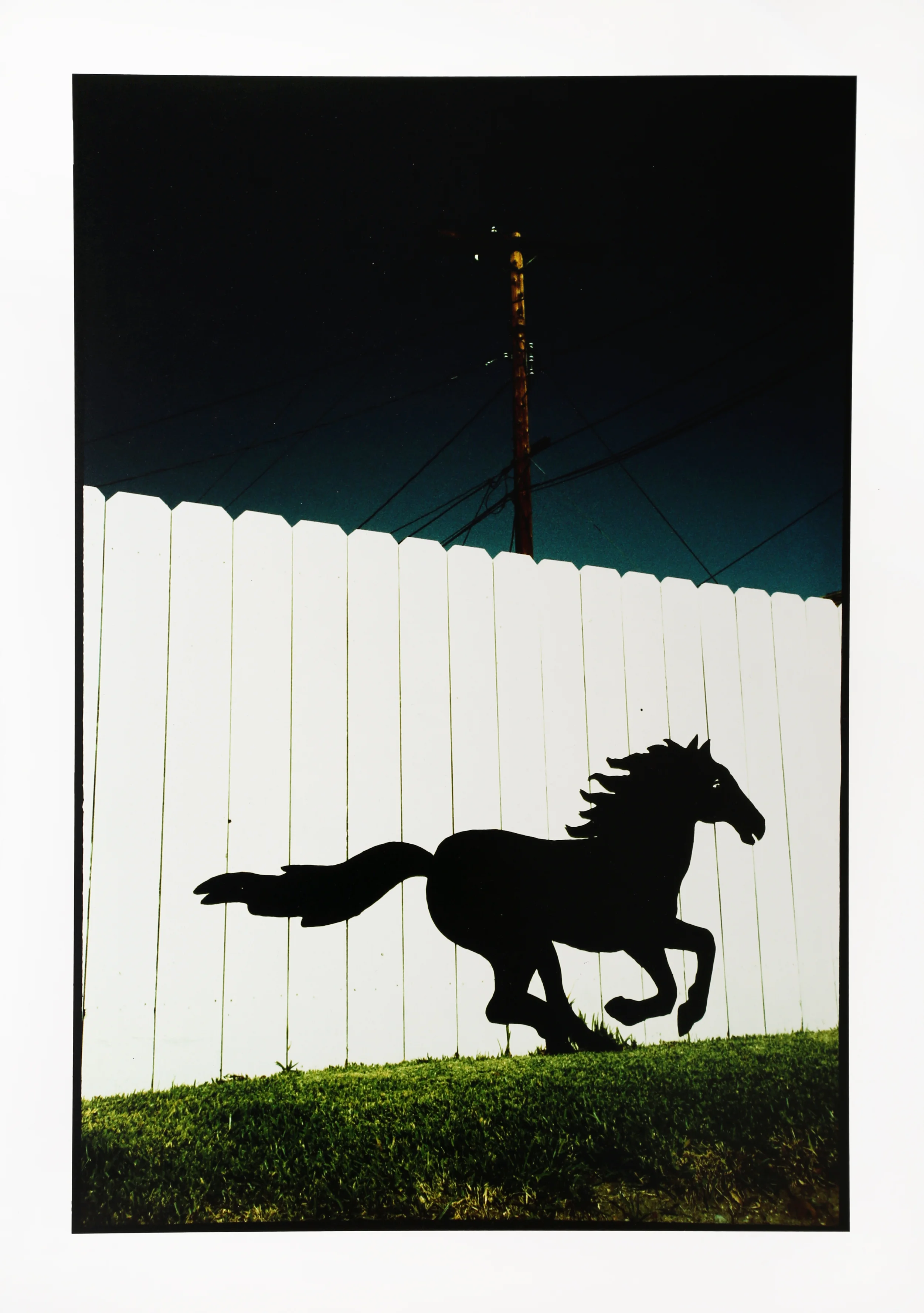 mustang.jpg
