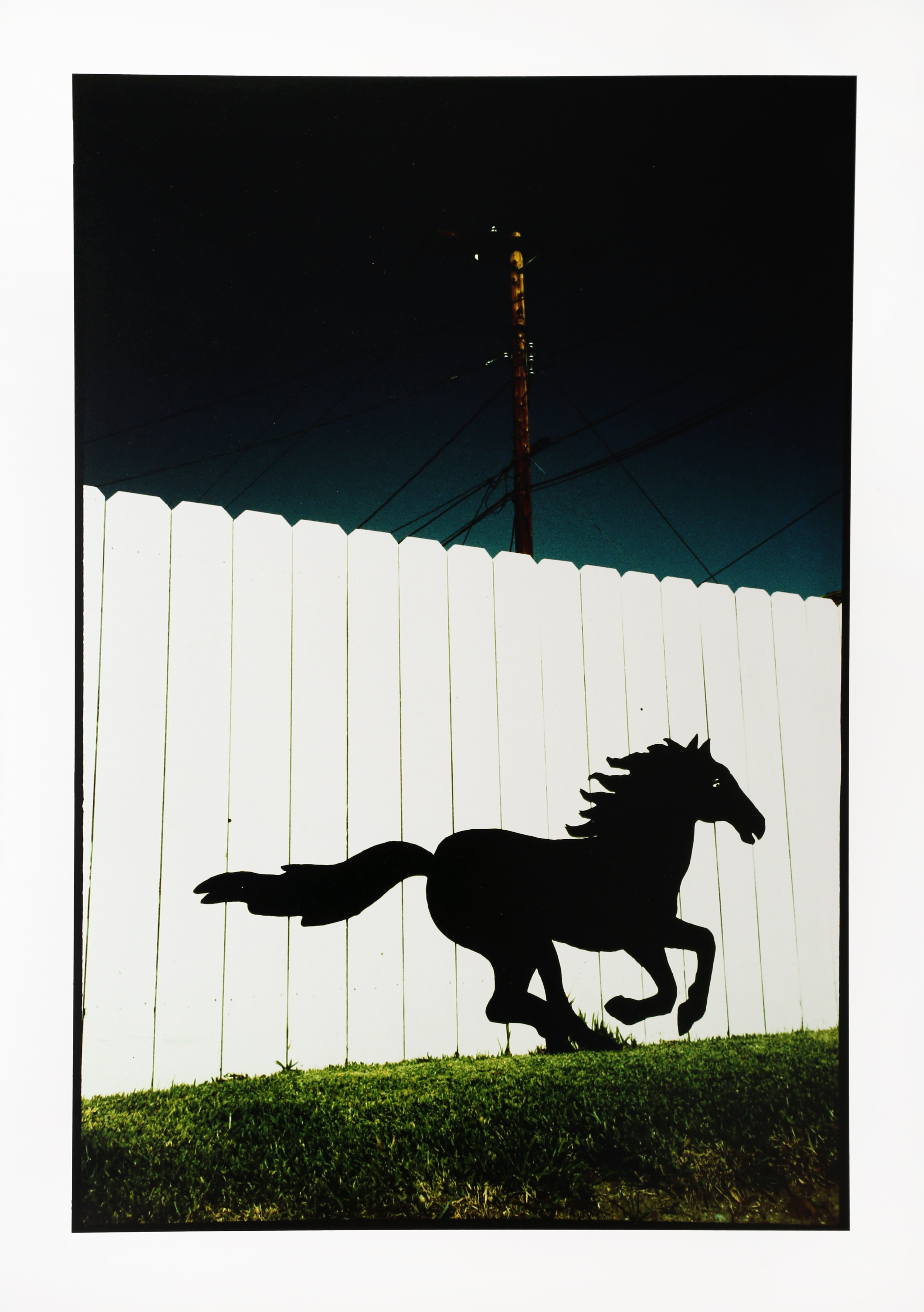 mustang.jpg